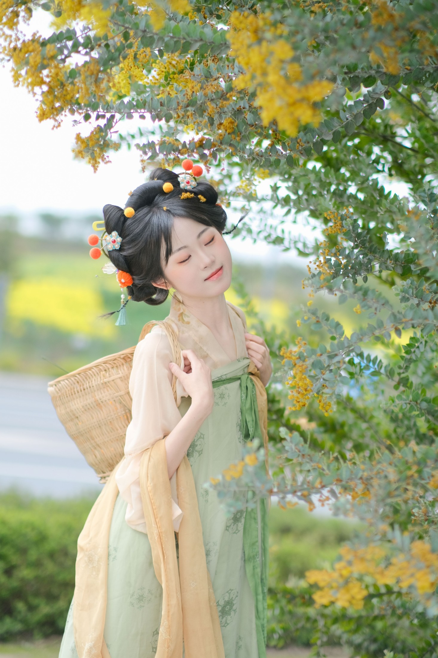 可可爱爱的小唐风金合欢写真