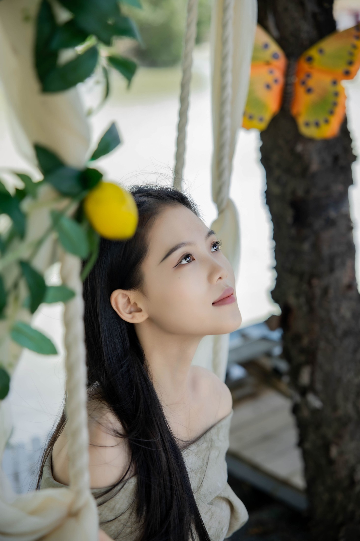 风里的稻香