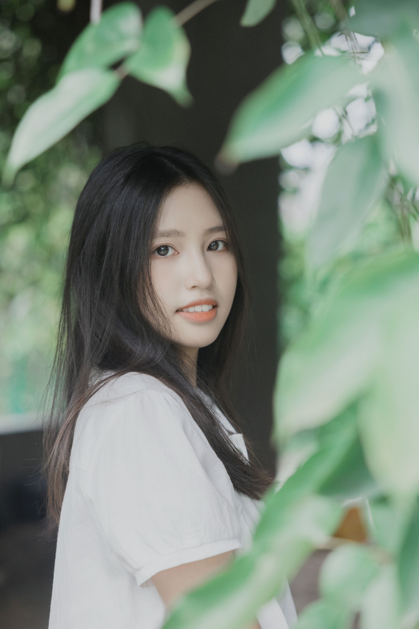 梦游仙境