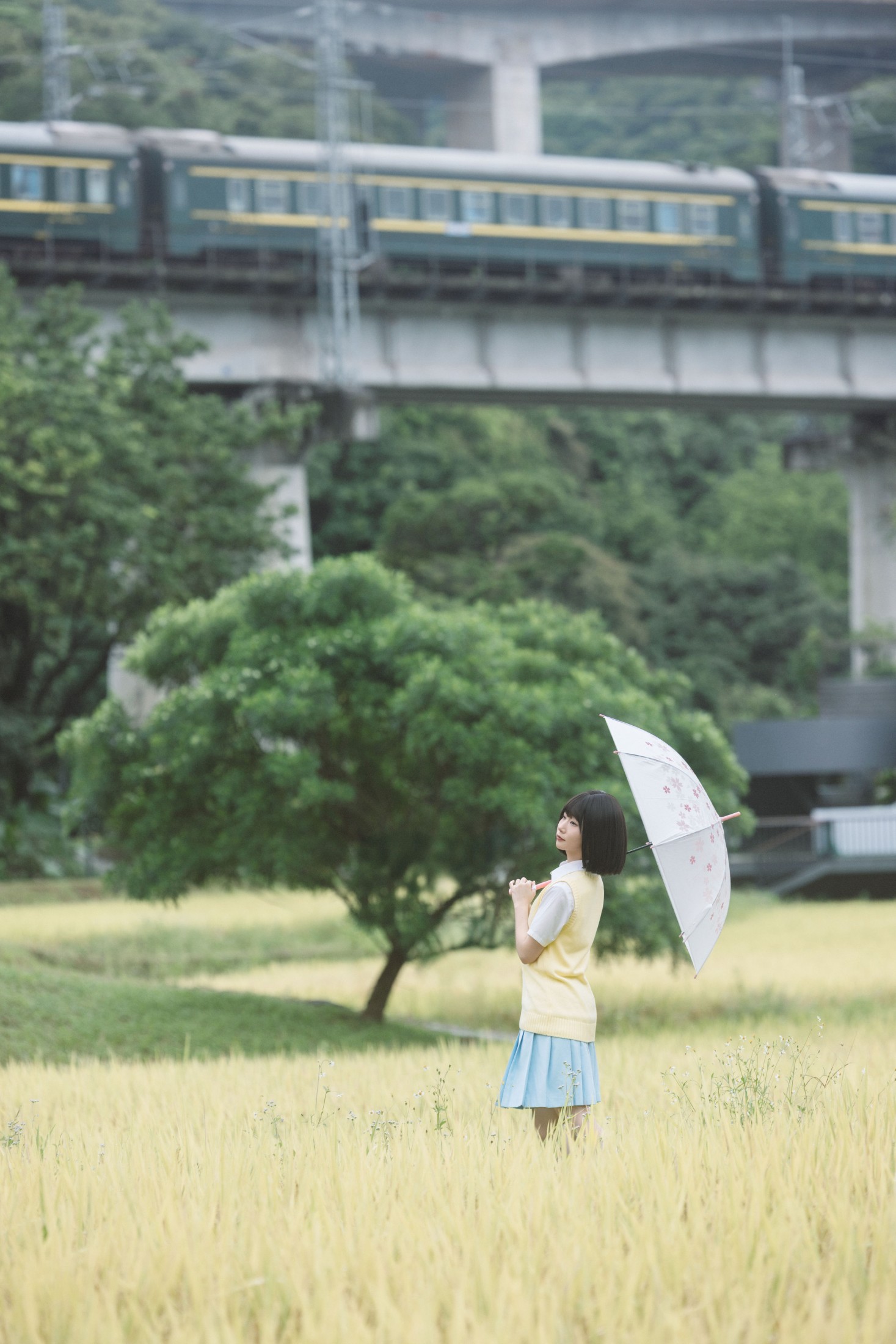 团长 – 《在原野》[22P]