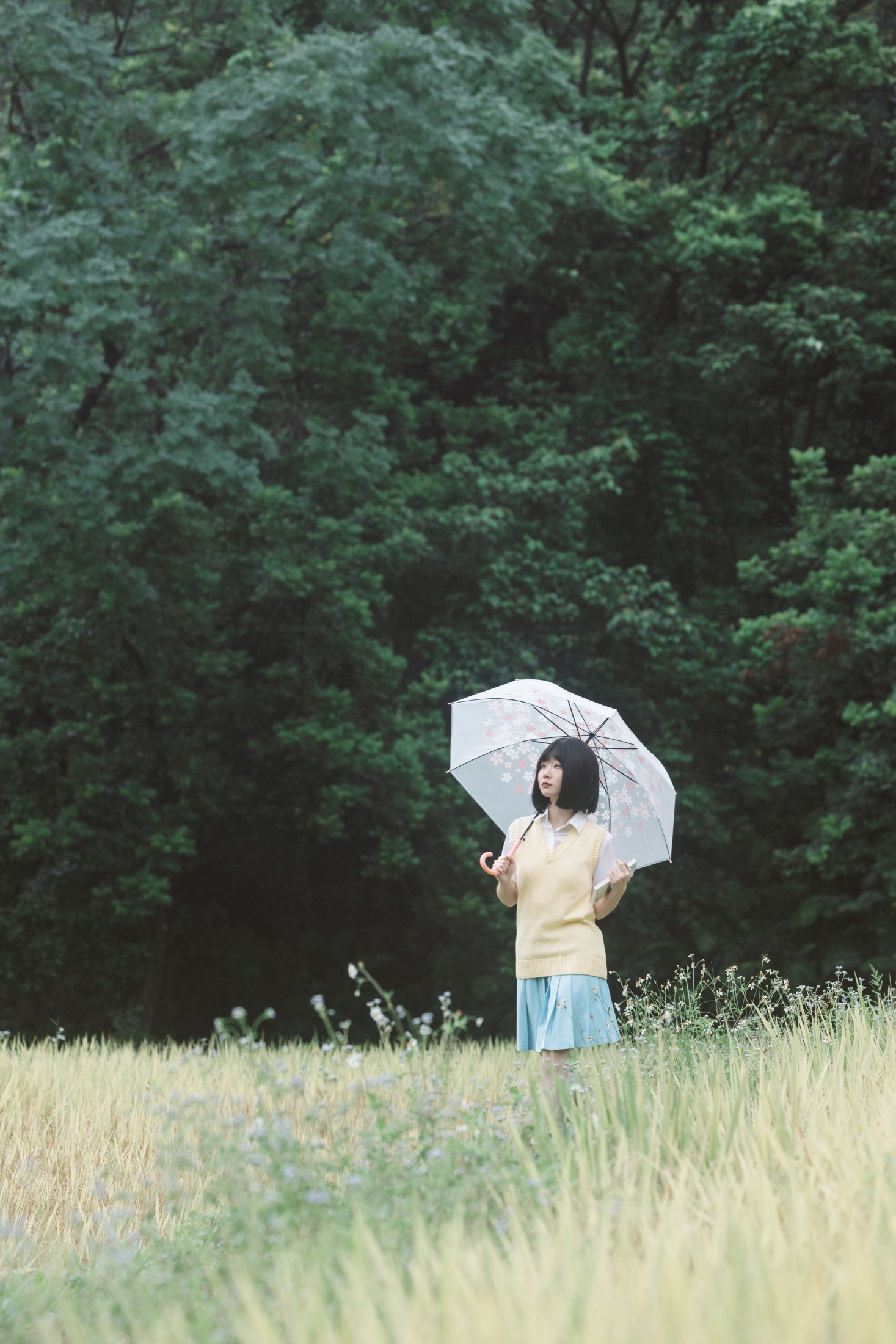 在原野