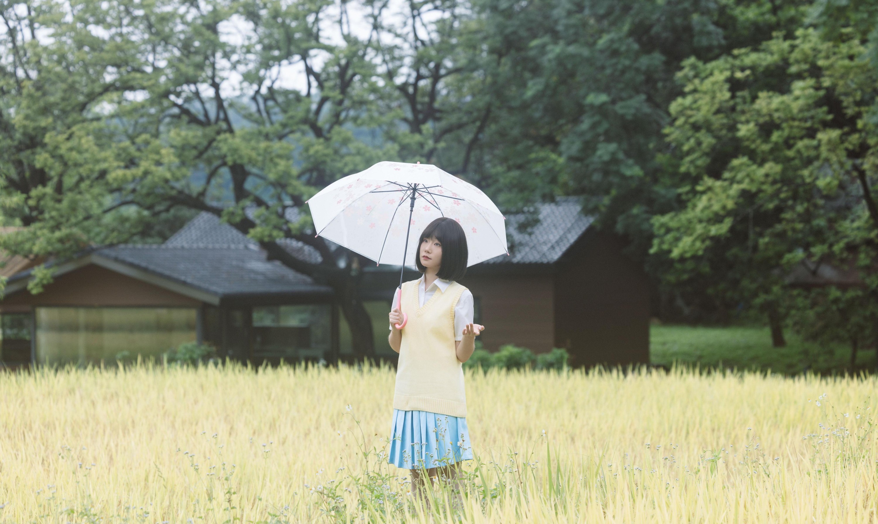 团长 – 《在原野》[22P]