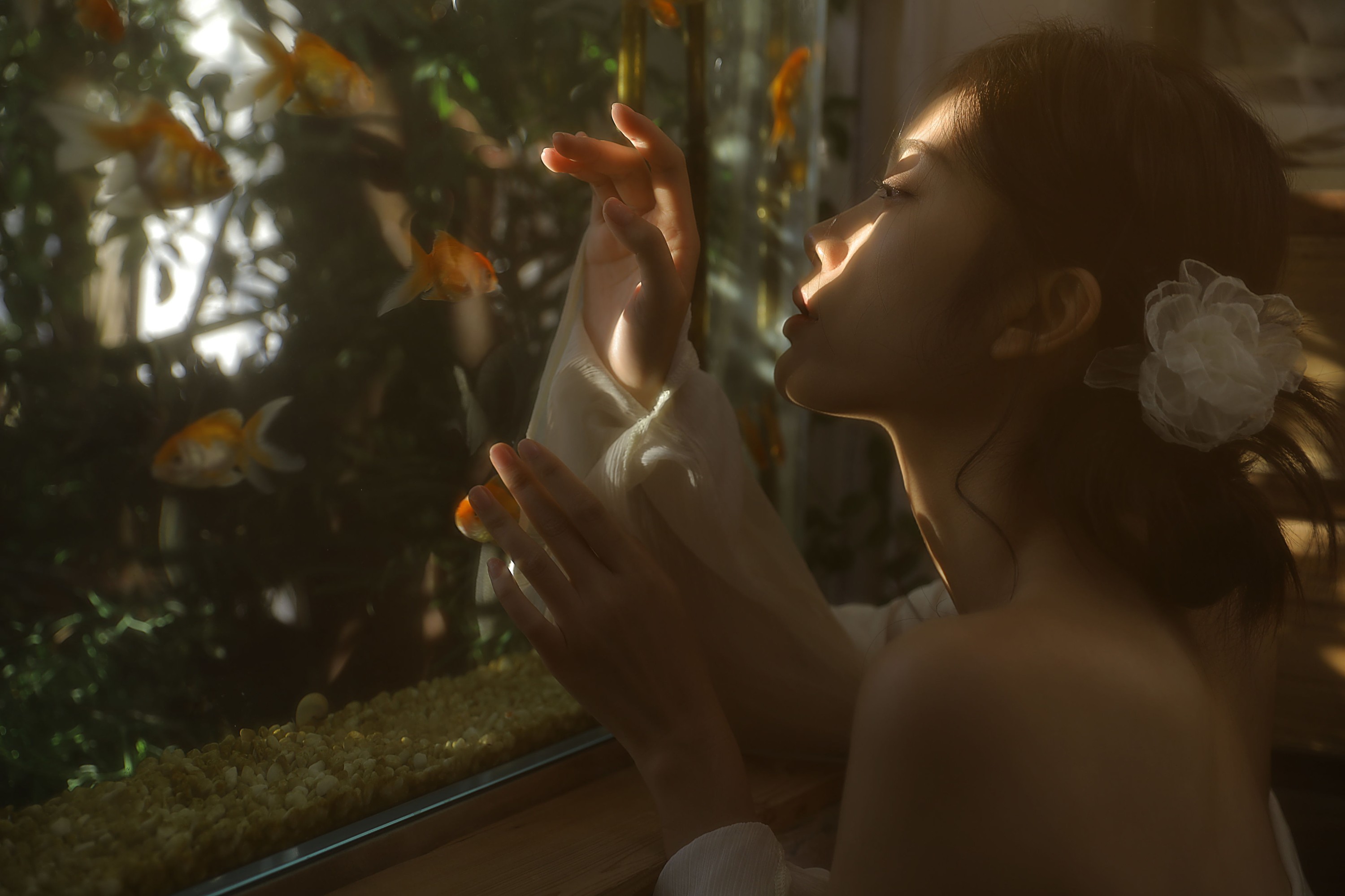 六六 – 《七秒记忆》[13P]