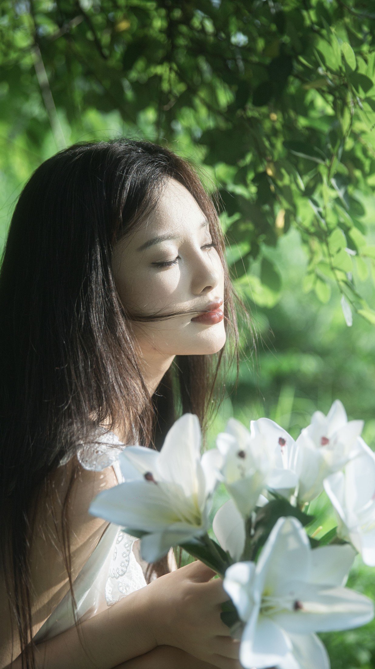 杜松混合茉莉的风