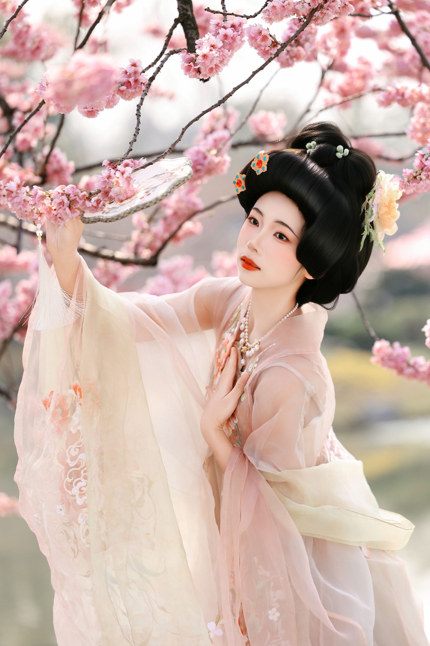 樱花梦