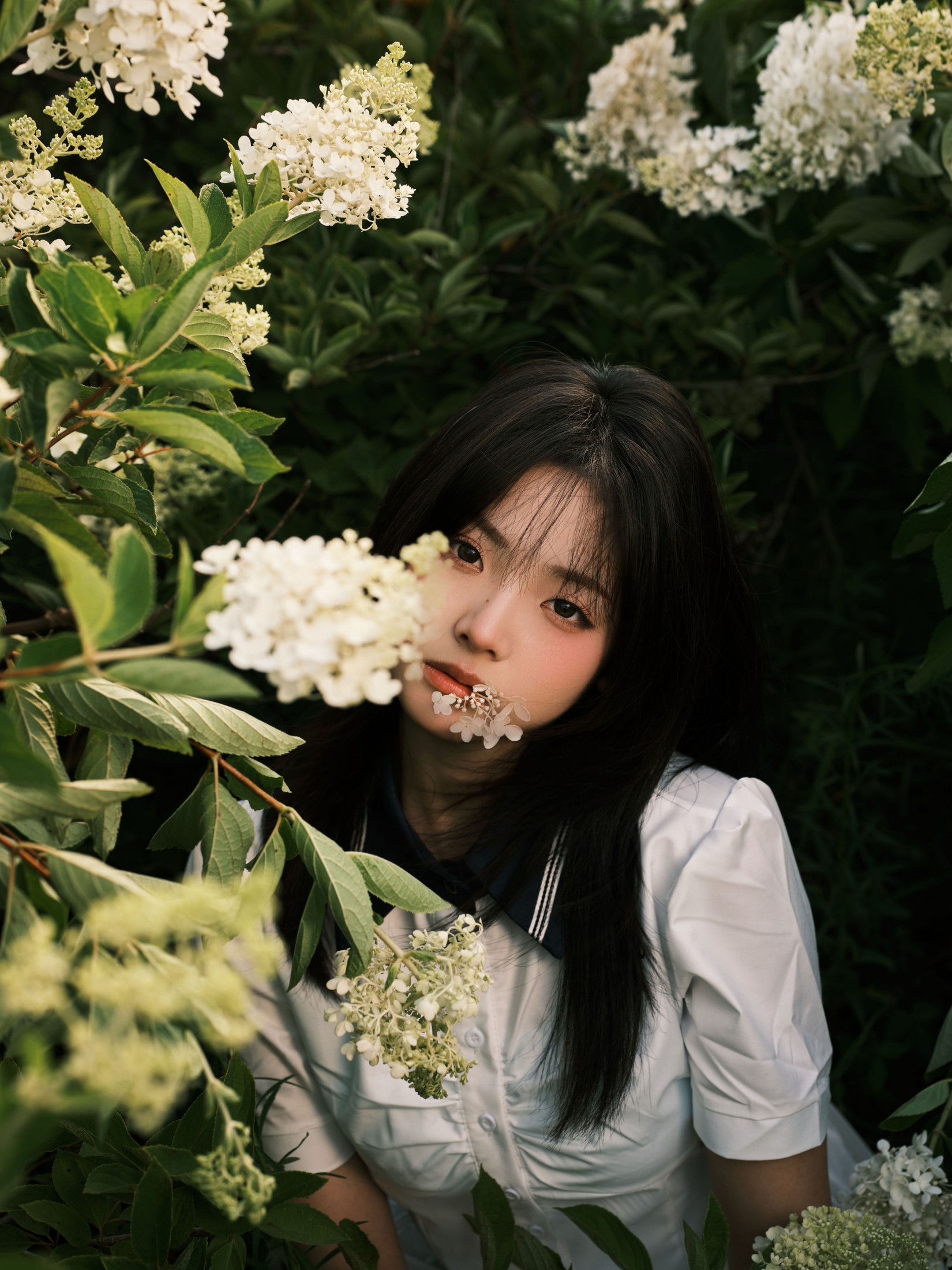 炸洋芋 – 《绣球花》[13P]