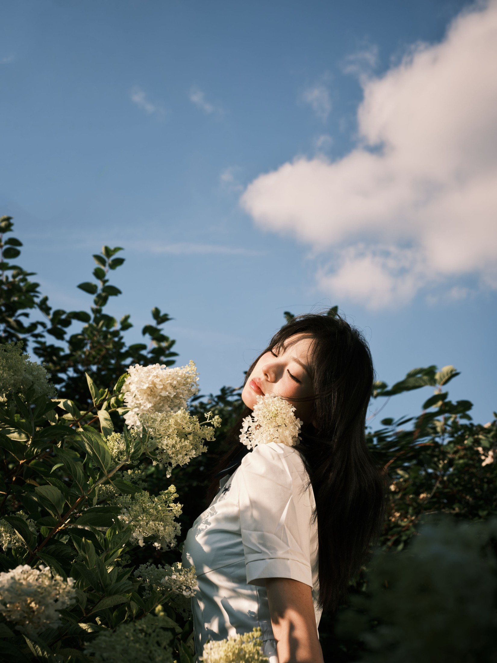 绣球花