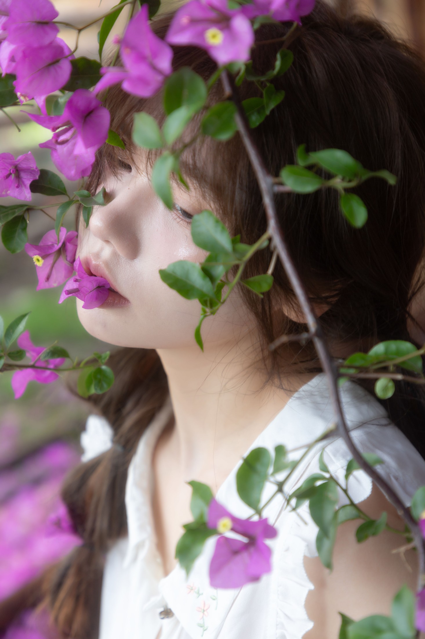 夏日旧梦
