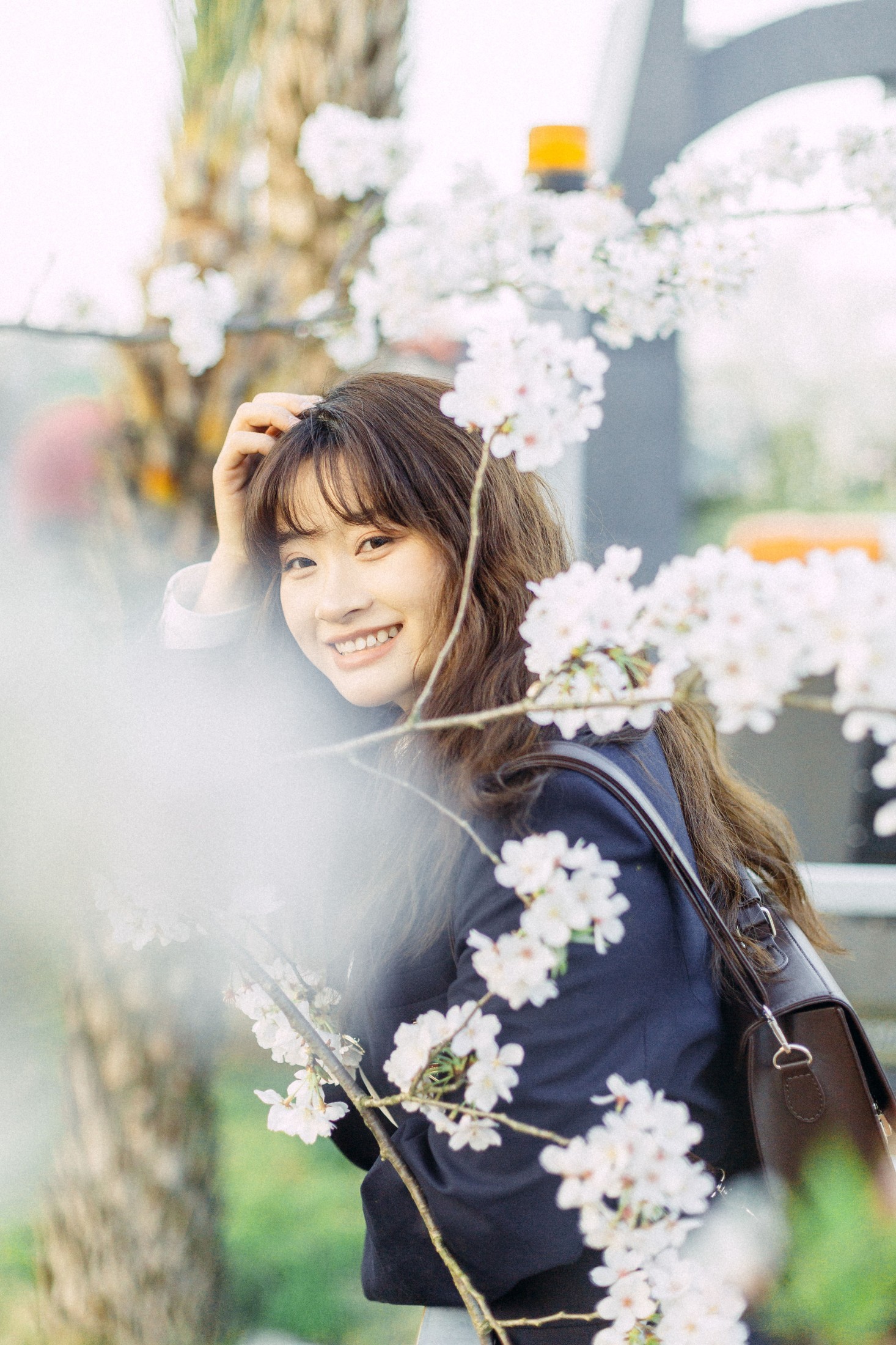 樱花树下