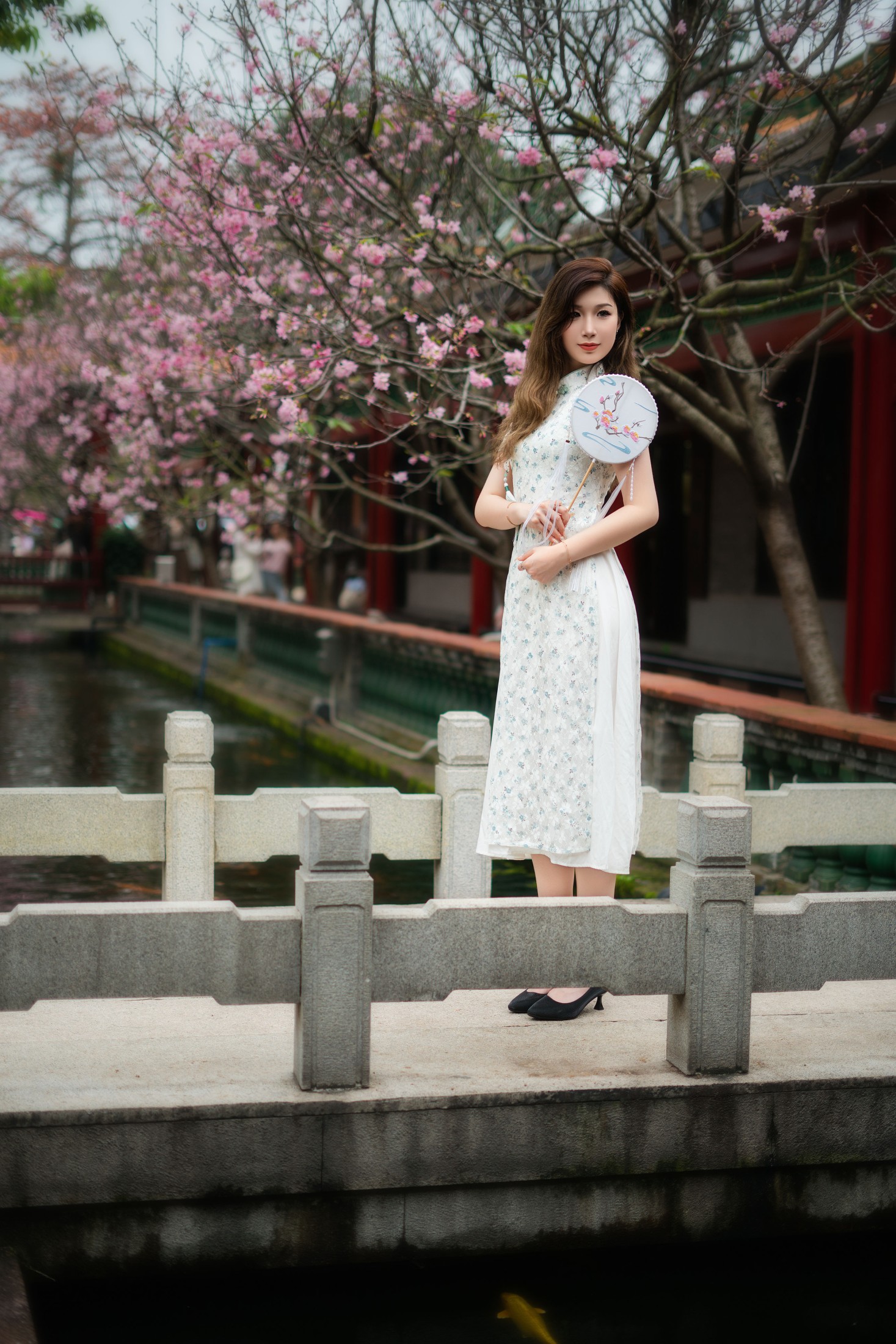 旗袍美女