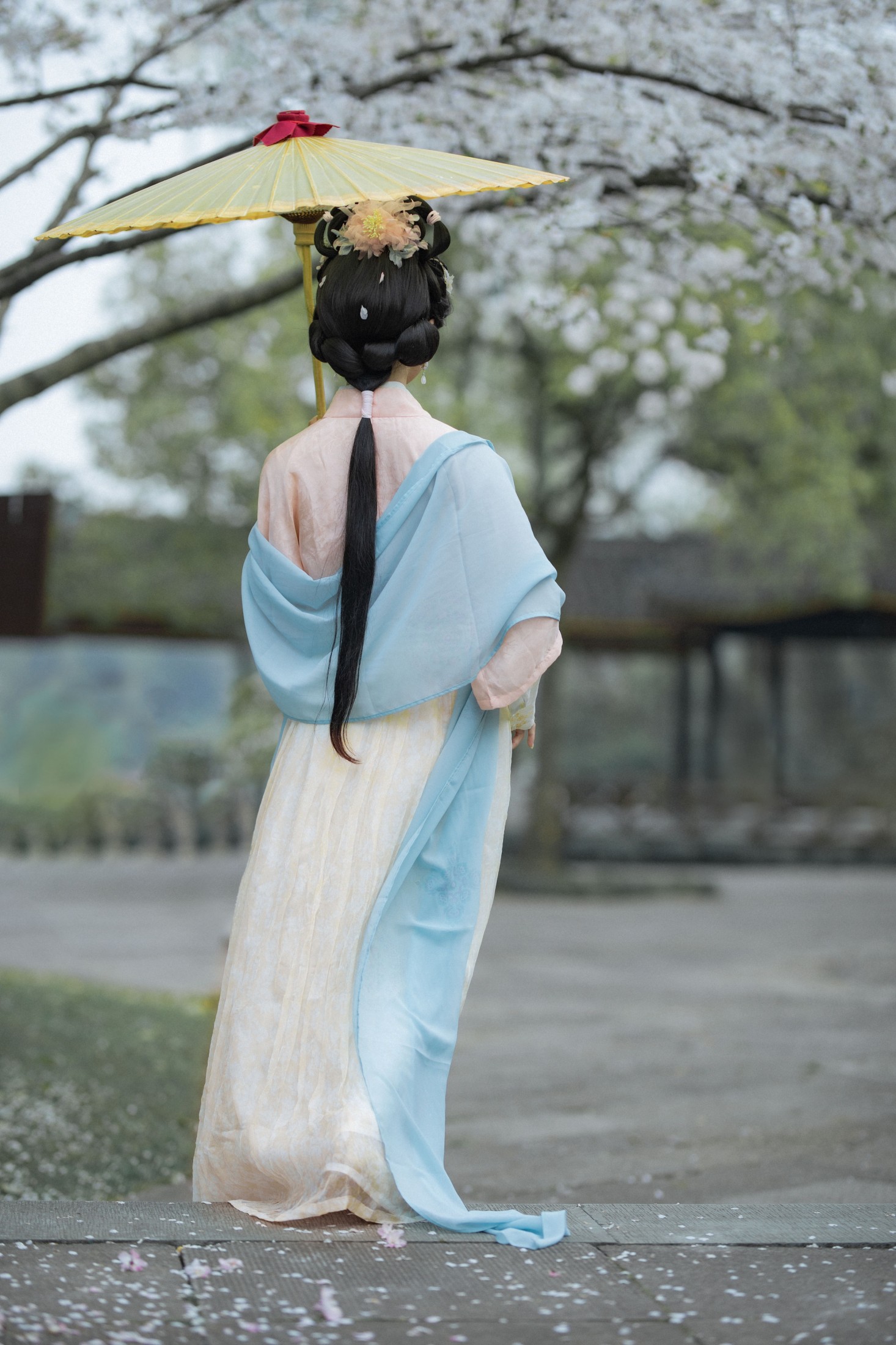 汀贰 – 《樱花汉服》[13P]