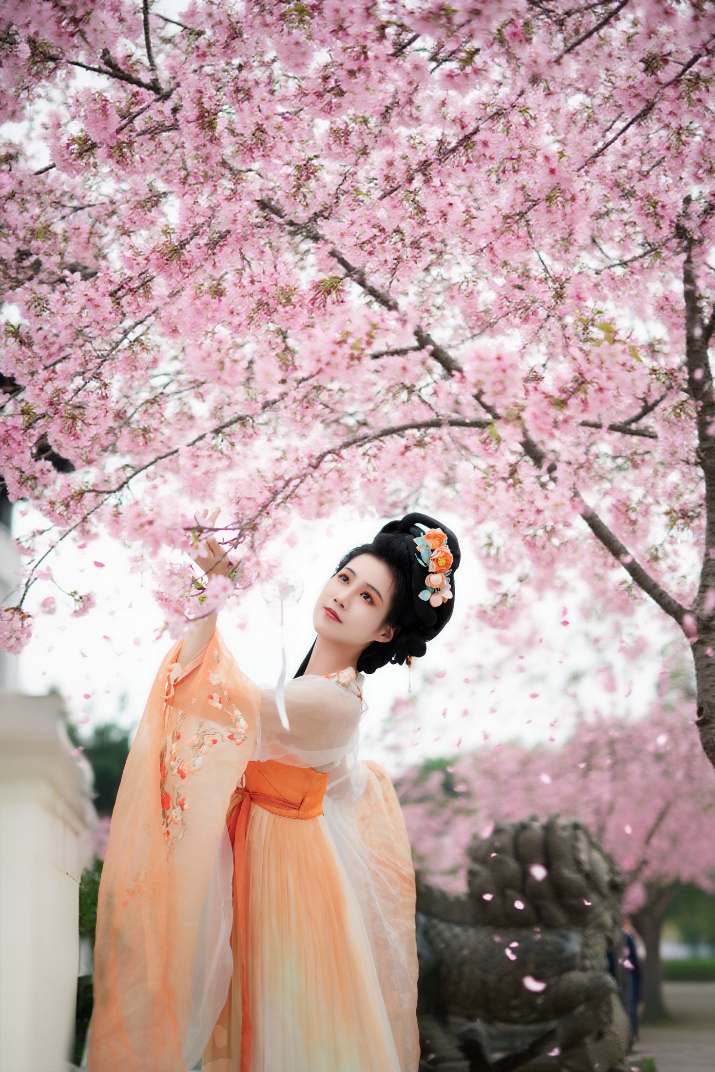 樱花树下