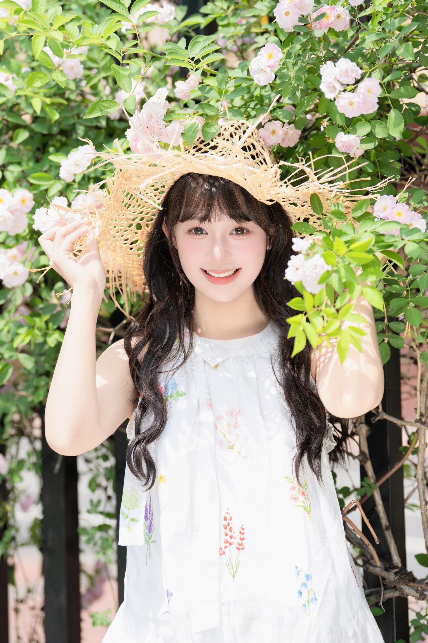 蔷薇花开