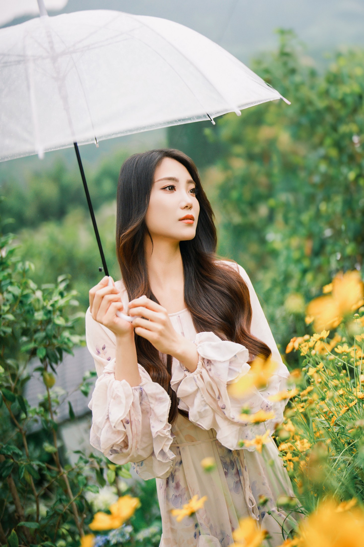唯美风-“花开无尽夏，浪漫永不休”