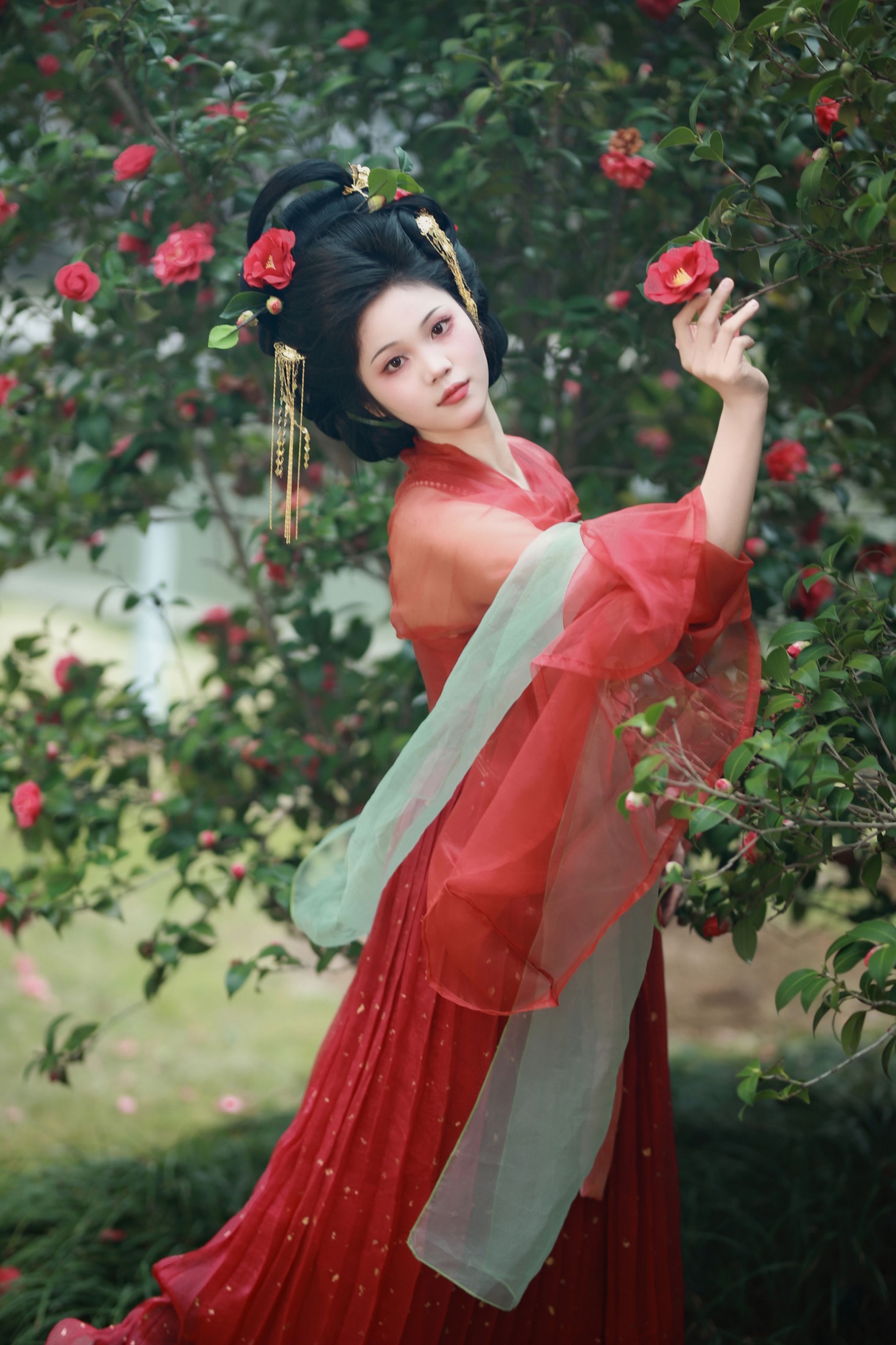 茶花与花魁