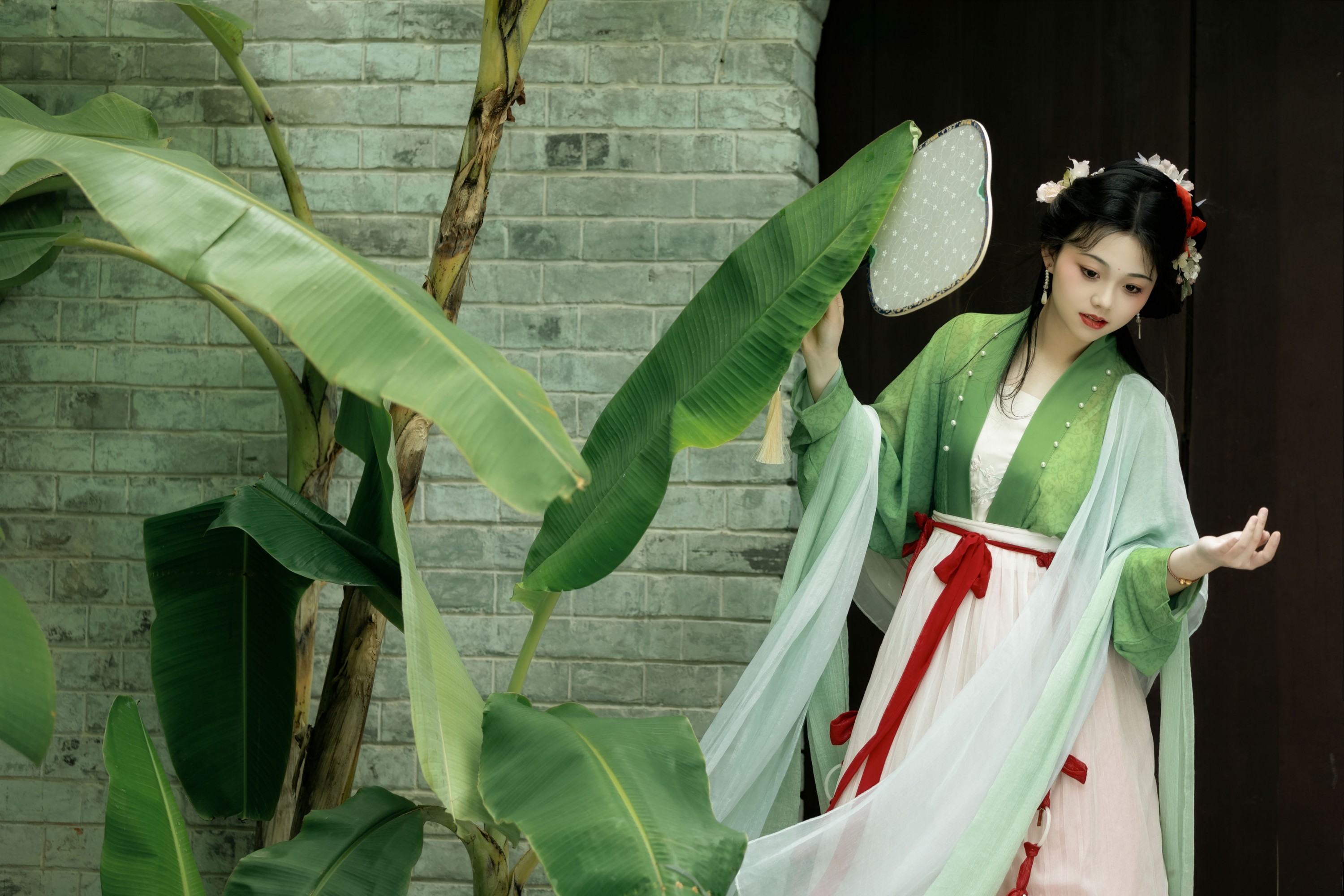 蕉叶潇潇