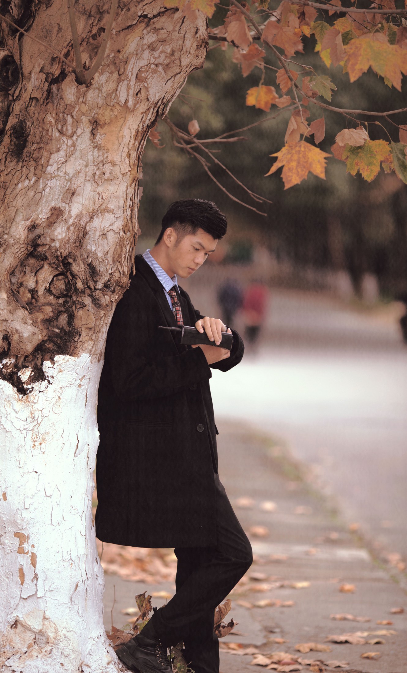 亮哥 – 《晚秋》[19P]