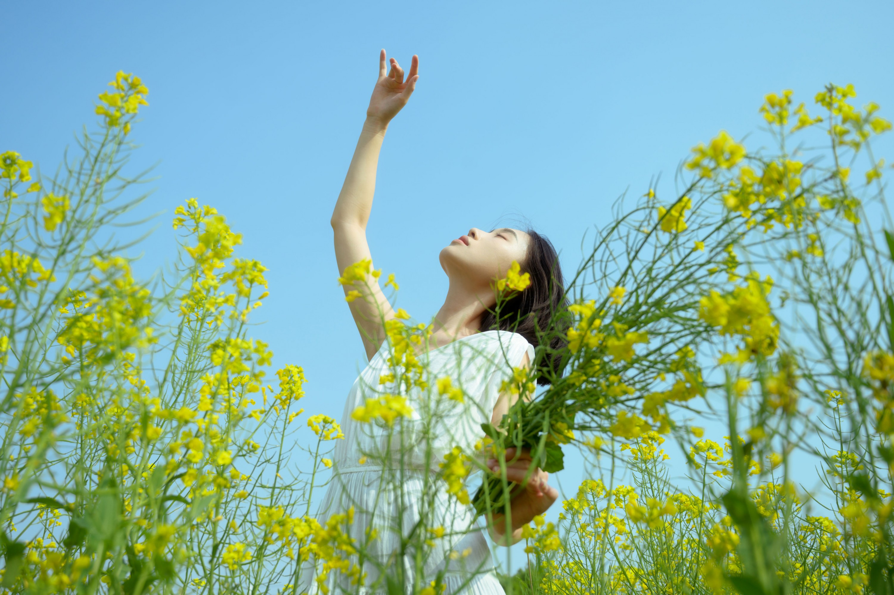心洁 – 《蝴蝶与油菜花》[32P]