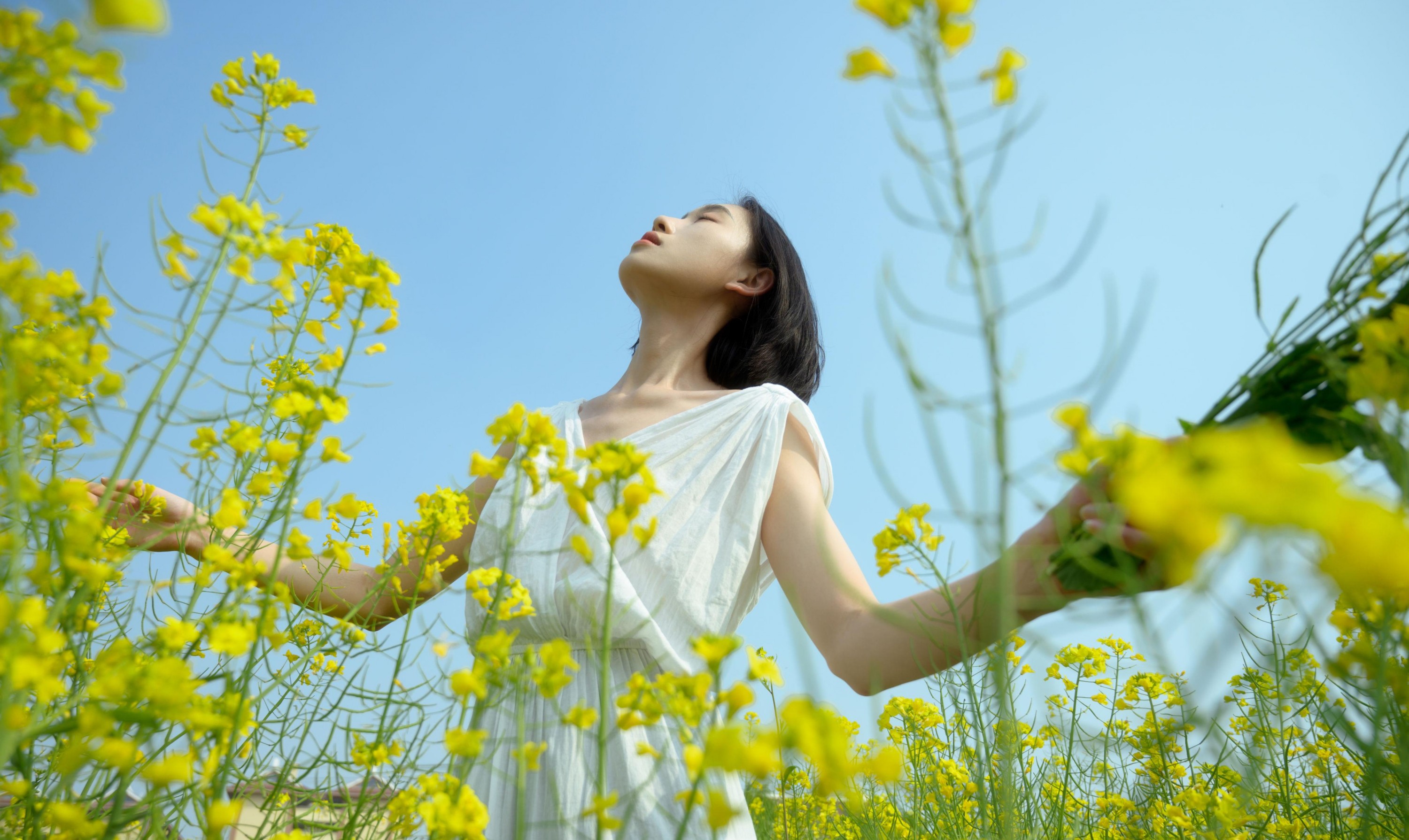 心洁 – 《蝴蝶与油菜花》[32P]