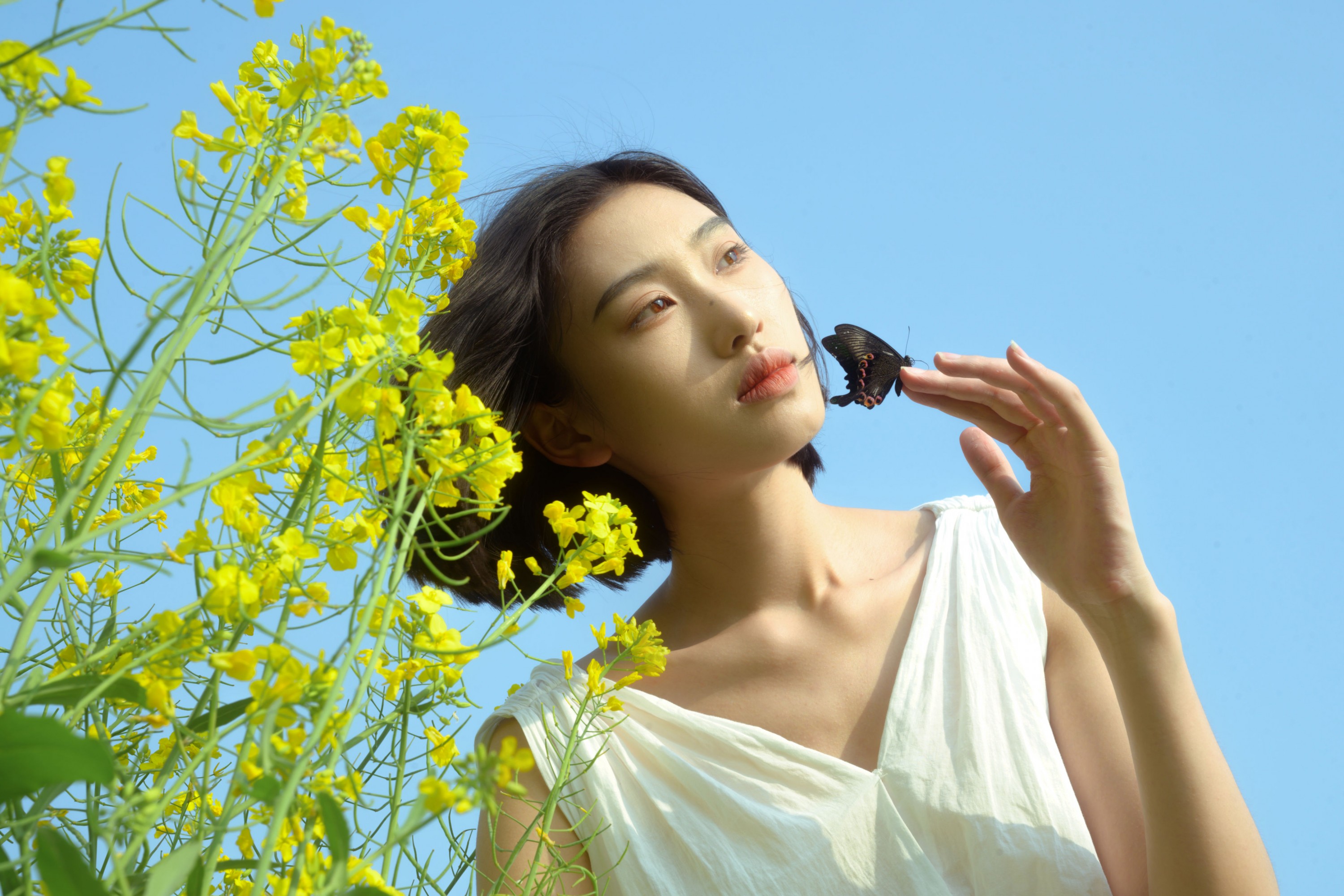 心洁 – 《蝴蝶与油菜花》[32P]