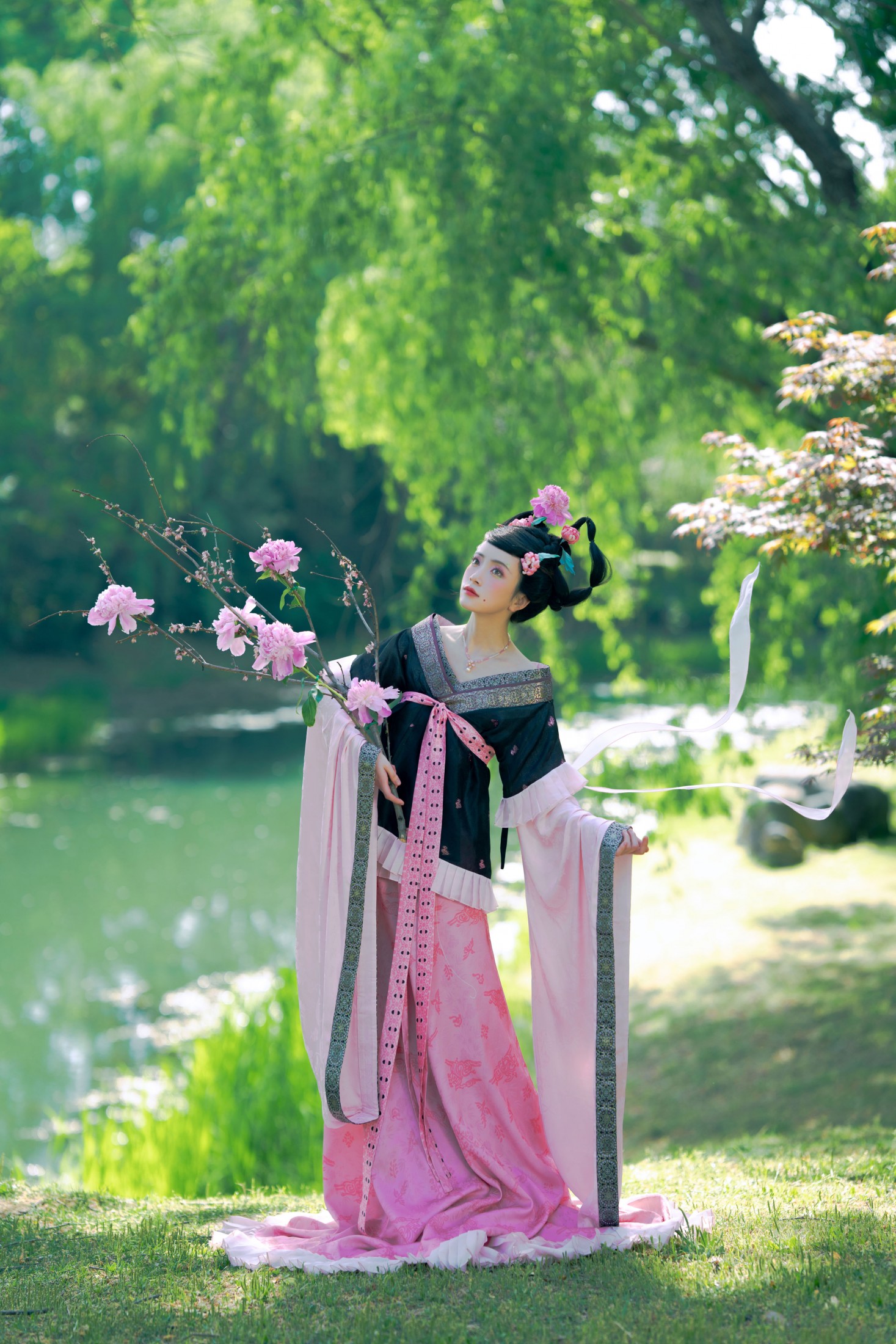 倾杯序——芍药
