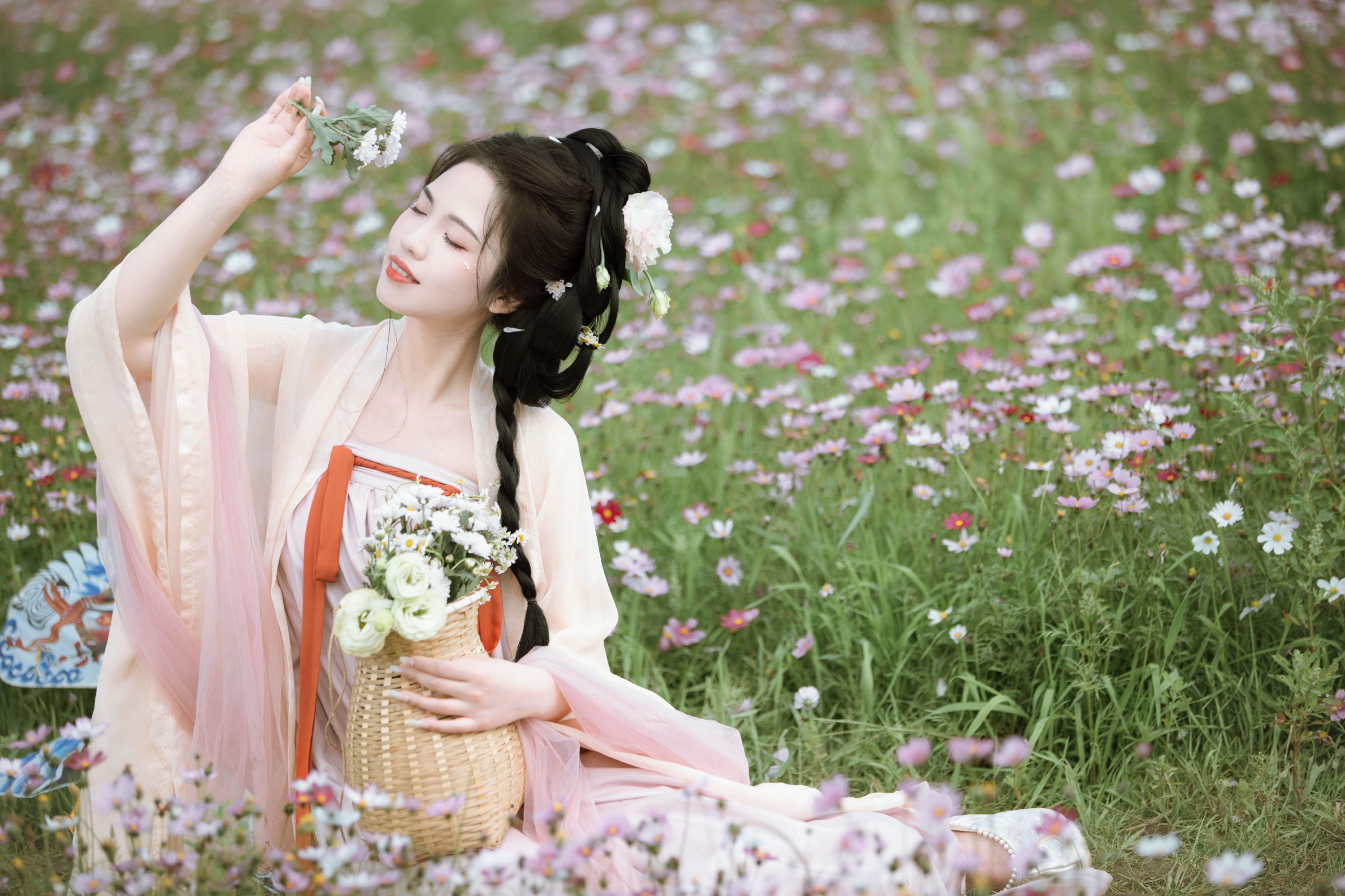 格桑花海