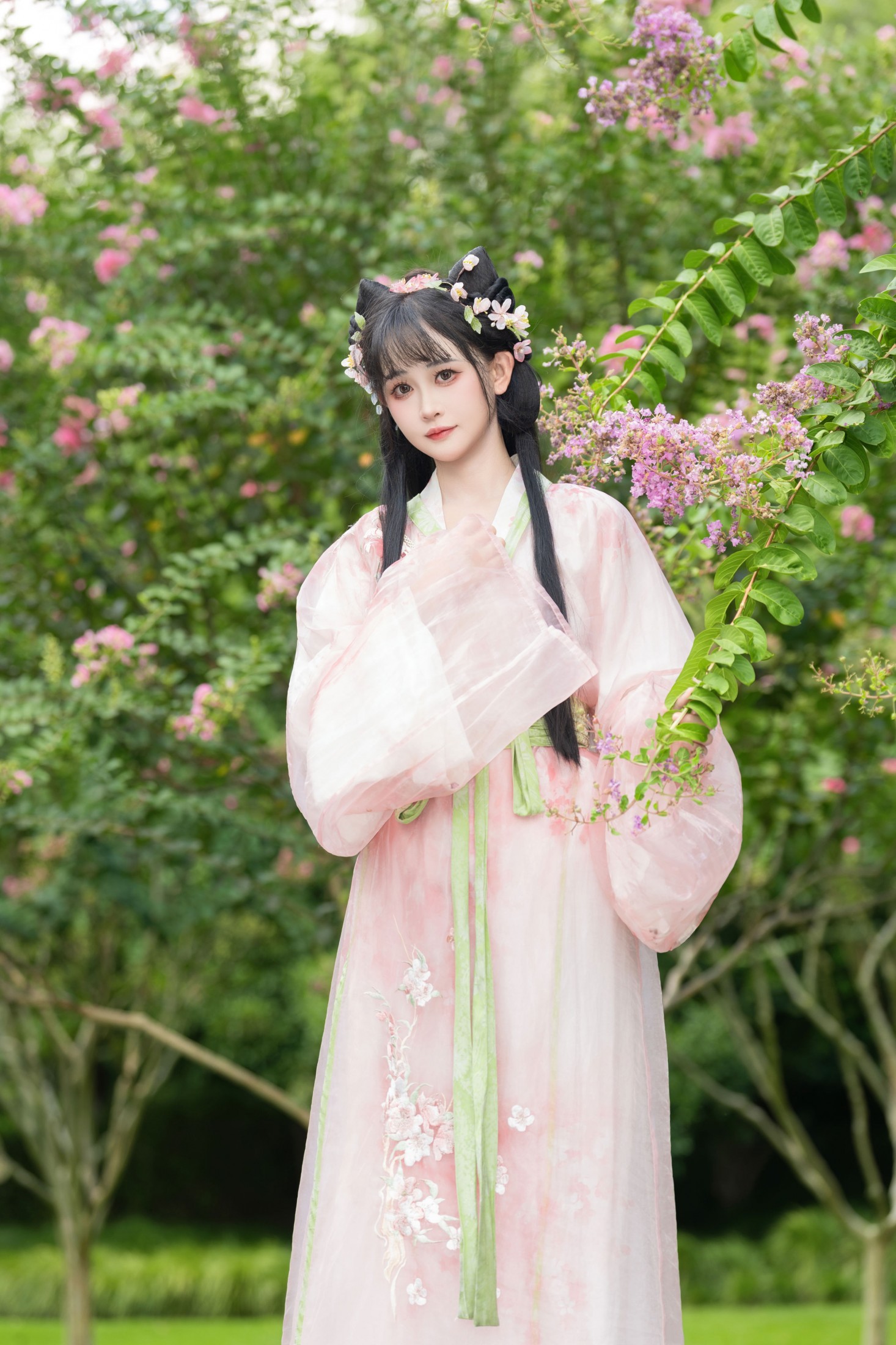 紫薇花开