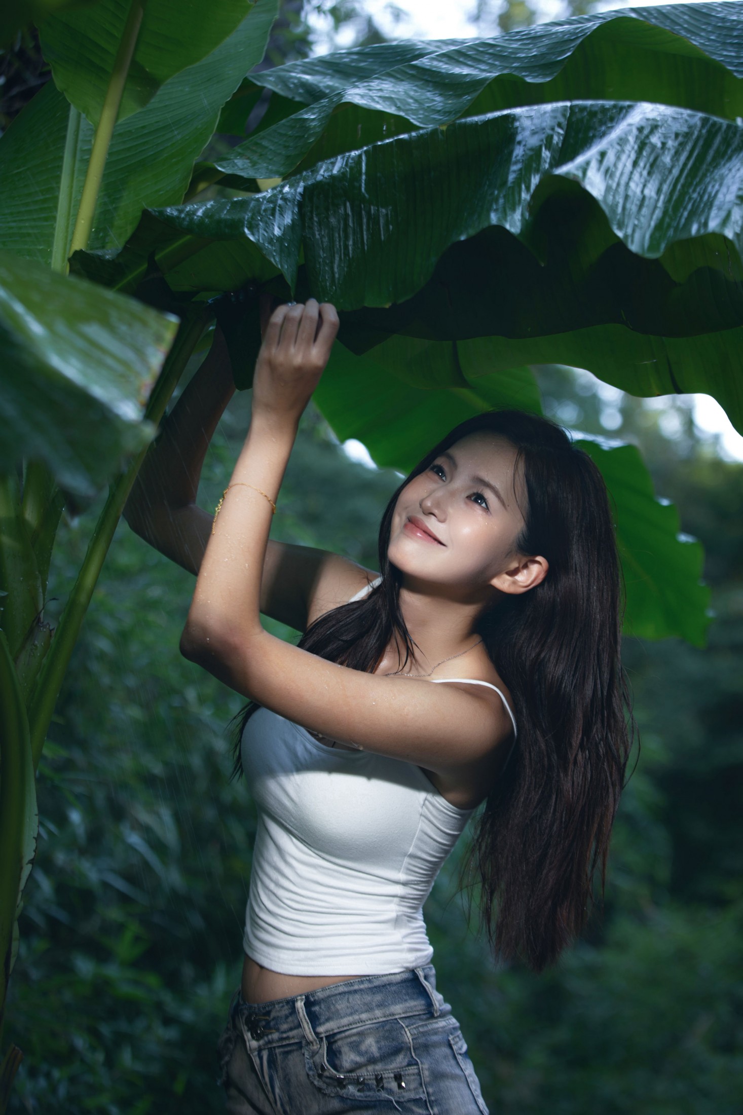 雨打芭蕉