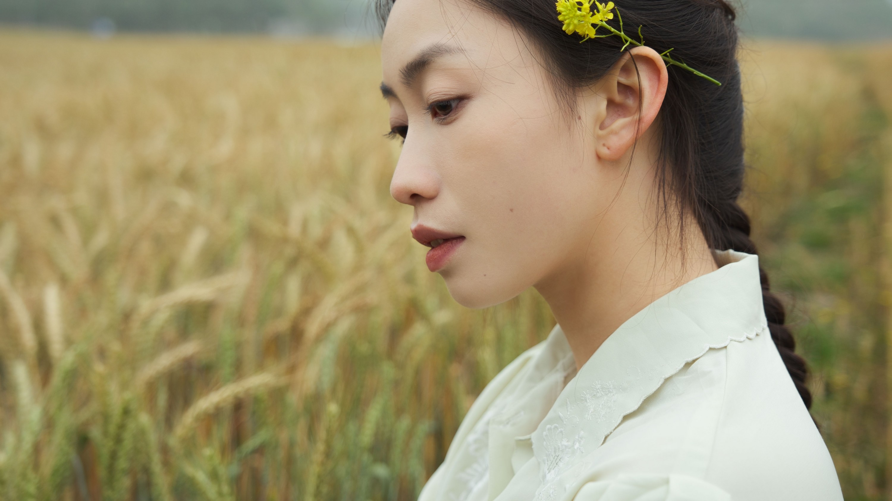 麦田的守望者