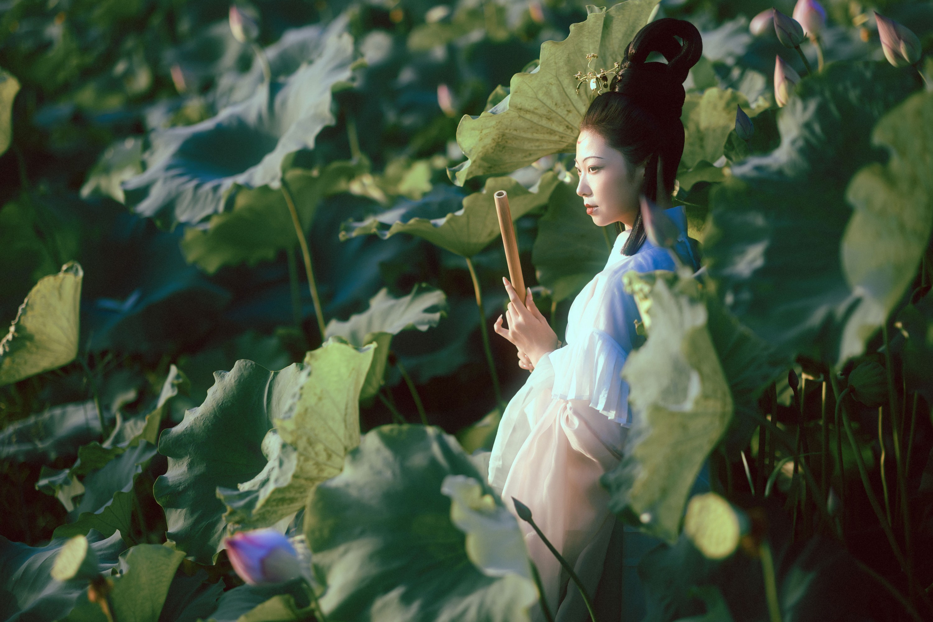 有有。 – 《晚荷》[37P]