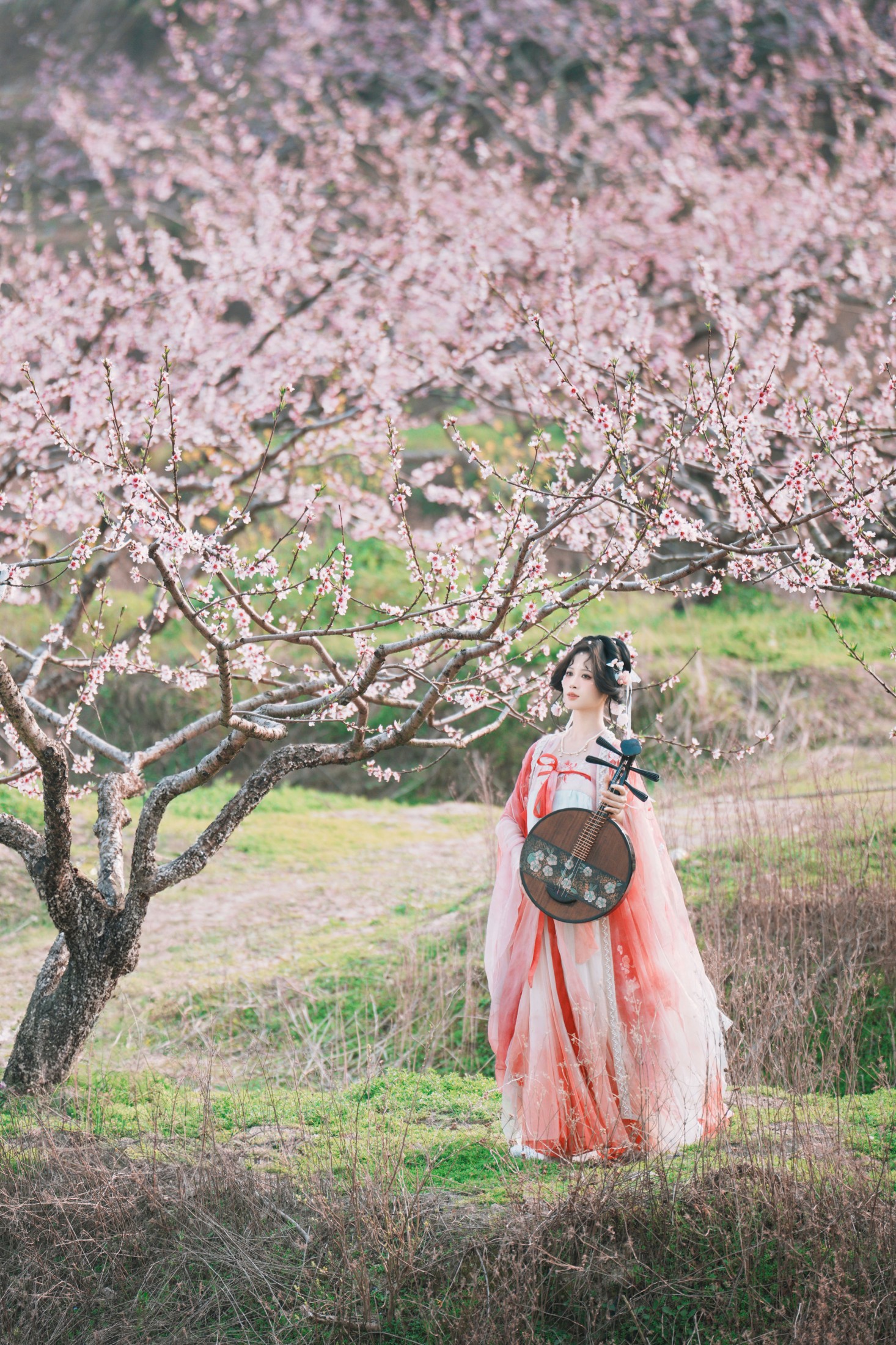 古风桃花人像