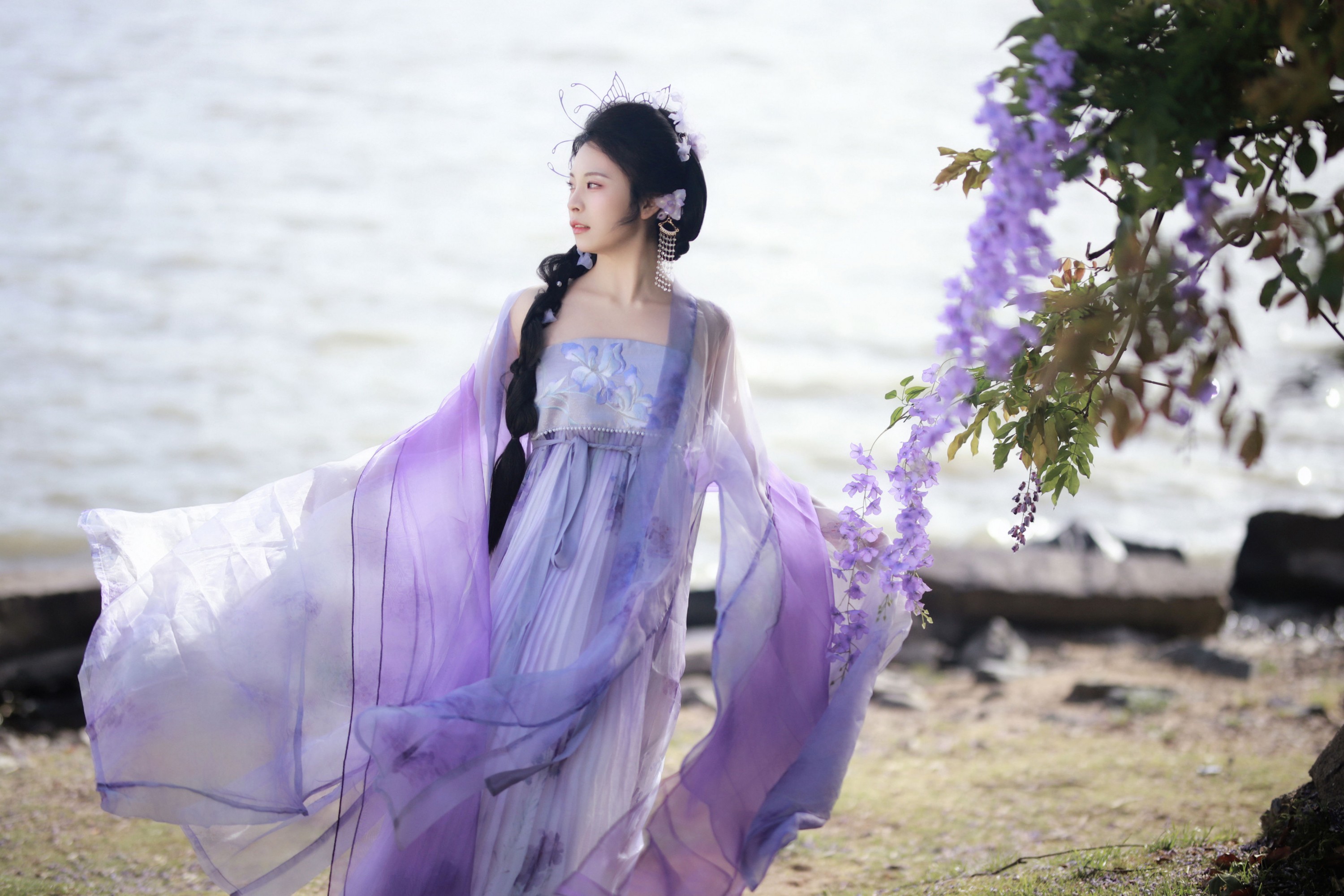 紫藤花开