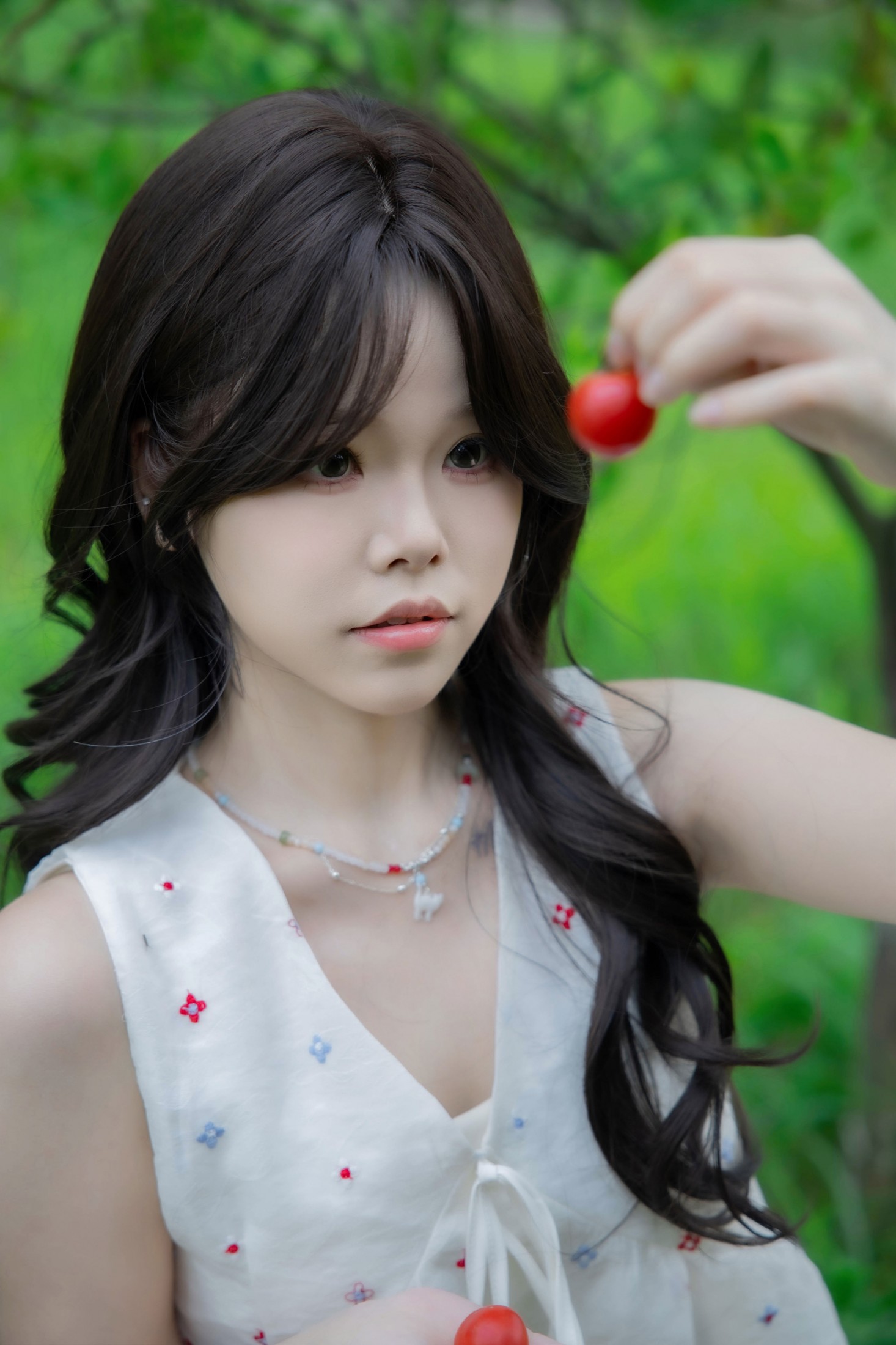 晴天里的圣女果