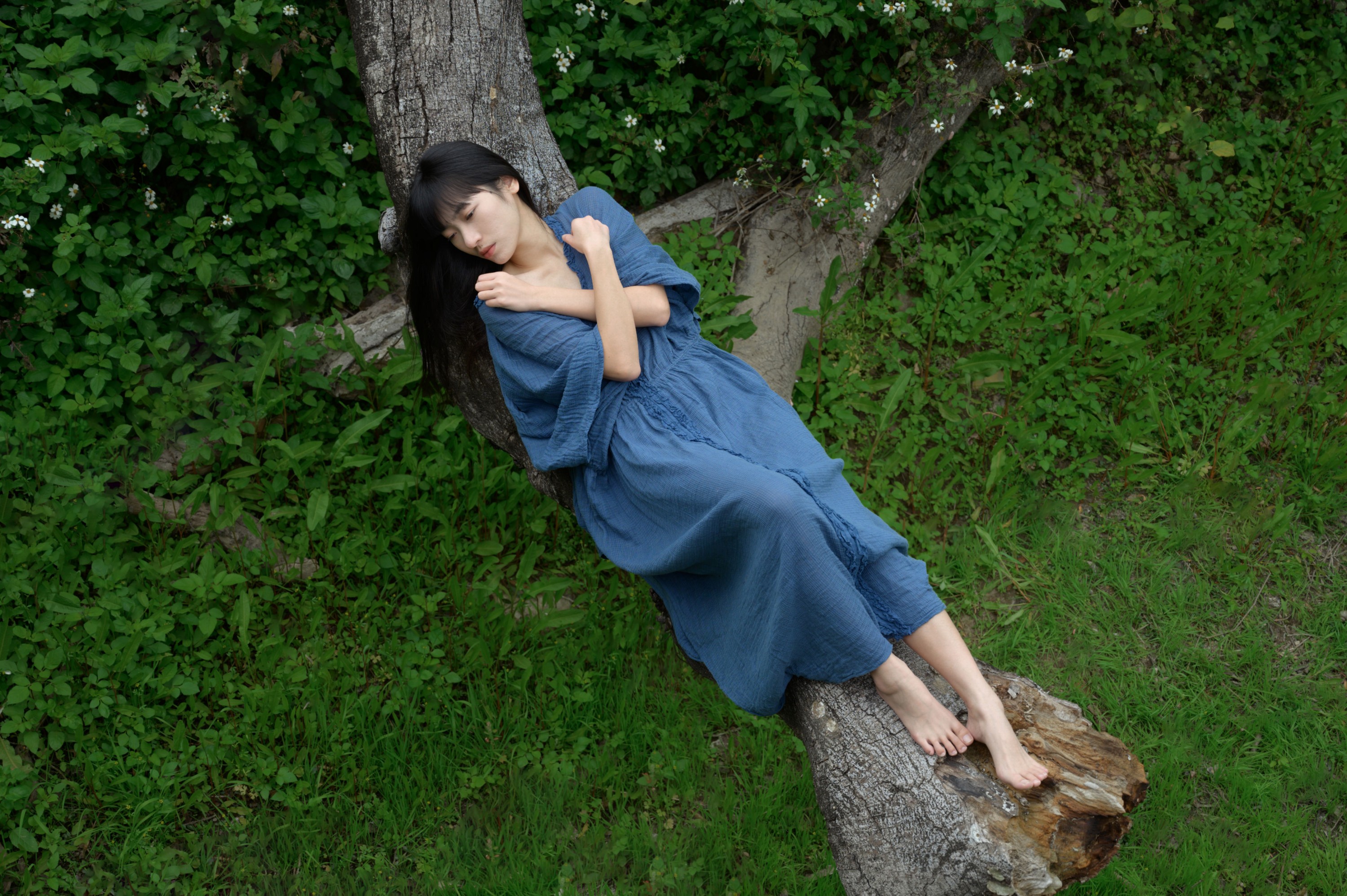 枯木逢春