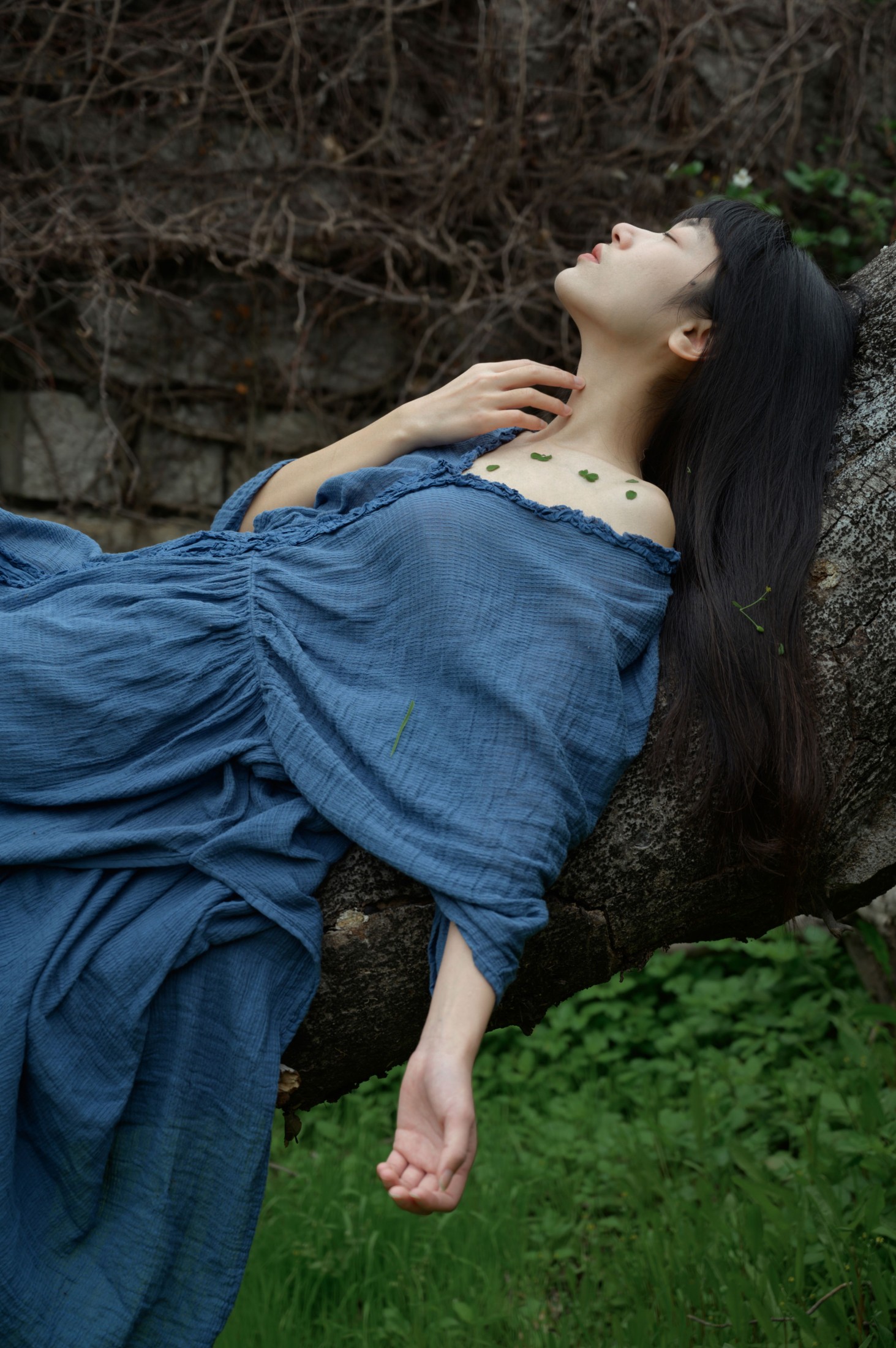 山野小果 – 《枯木逢春》[22P]