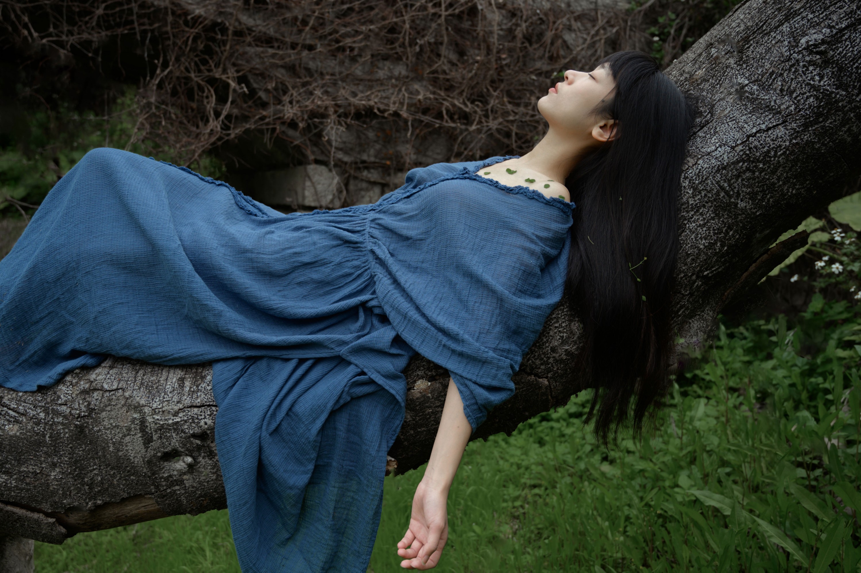 山野小果 – 《枯木逢春》[22P]