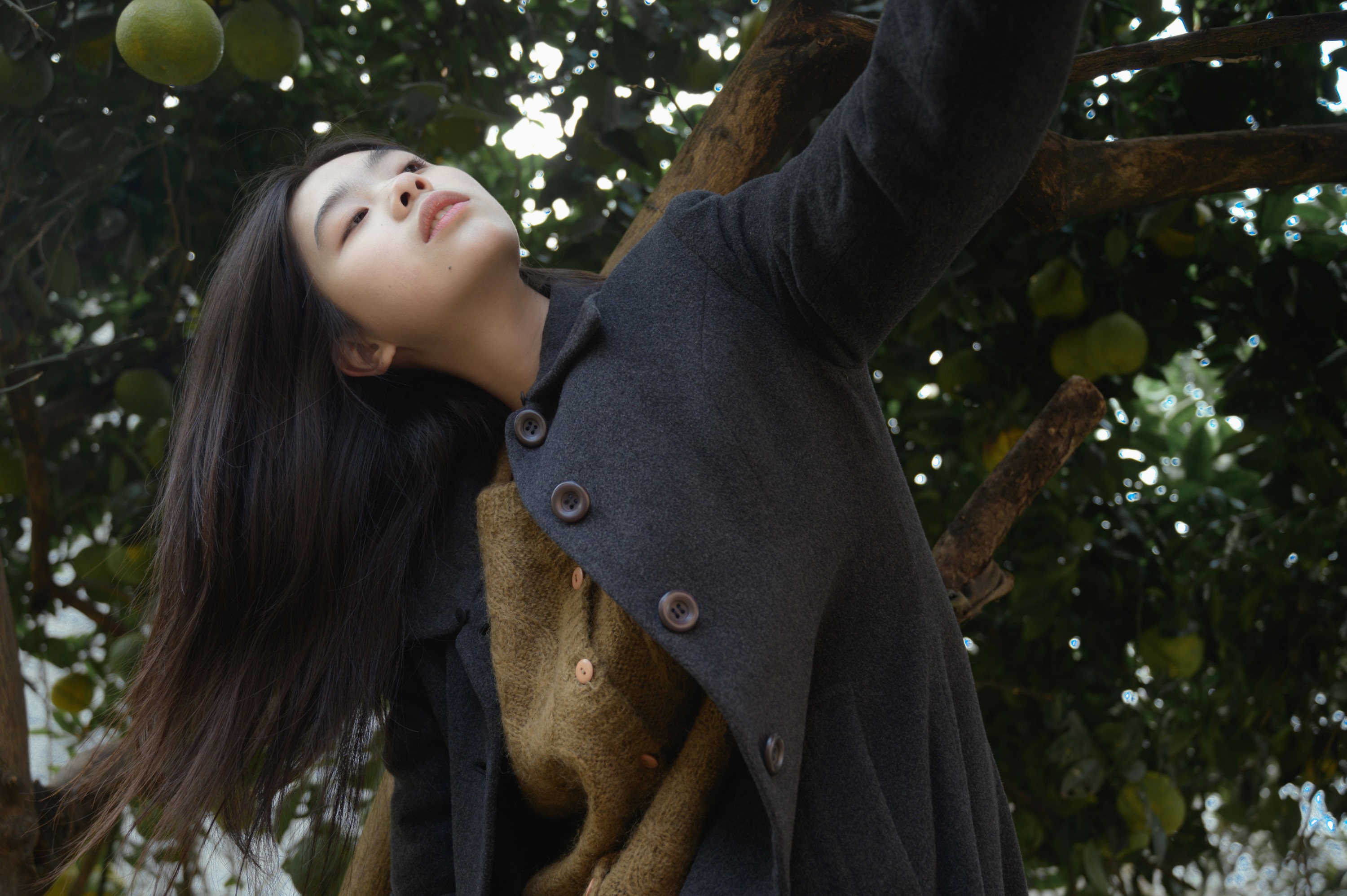 – 《果子》[17P]