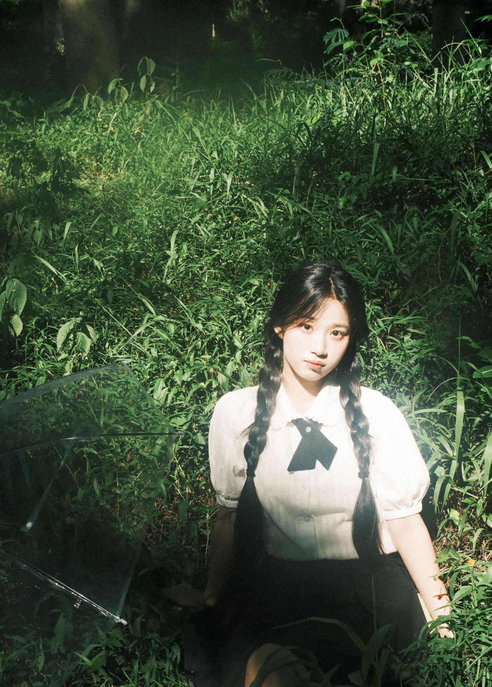 – 《人们为何总是为绿色着迷》[9P]