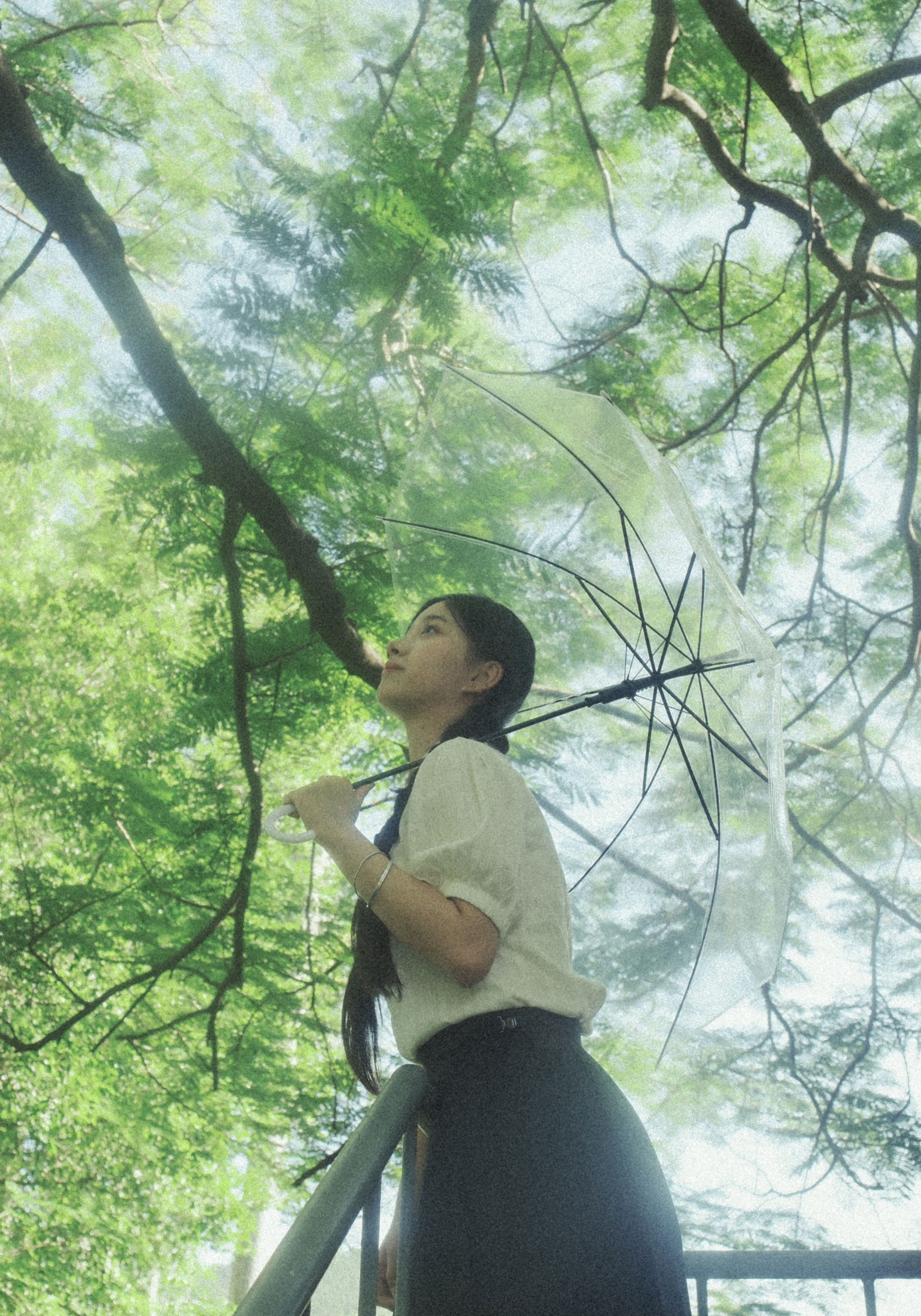 – 《人们为何总是为绿色着迷》[9P]