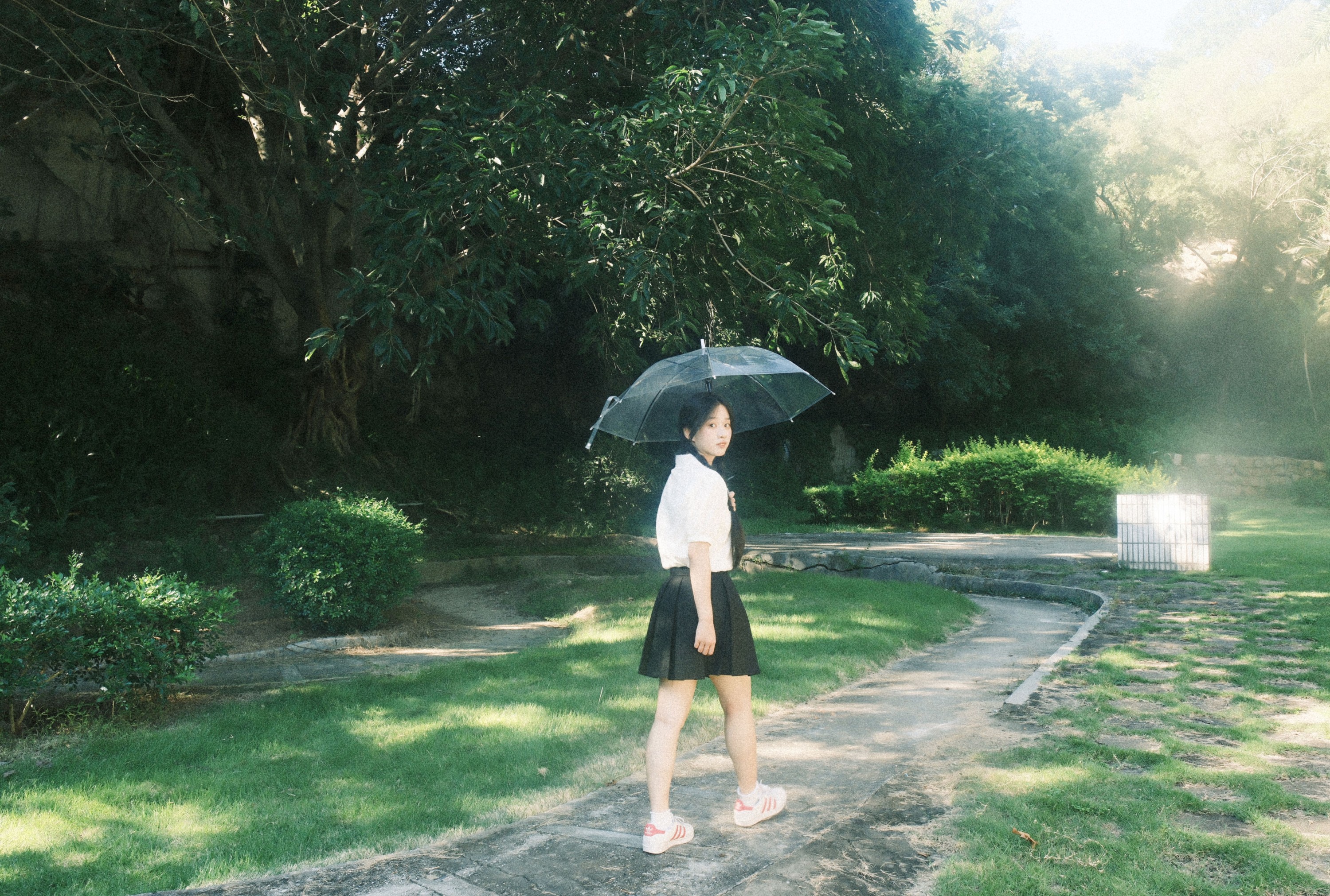 – 《人们为何总是为绿色着迷》[9P]