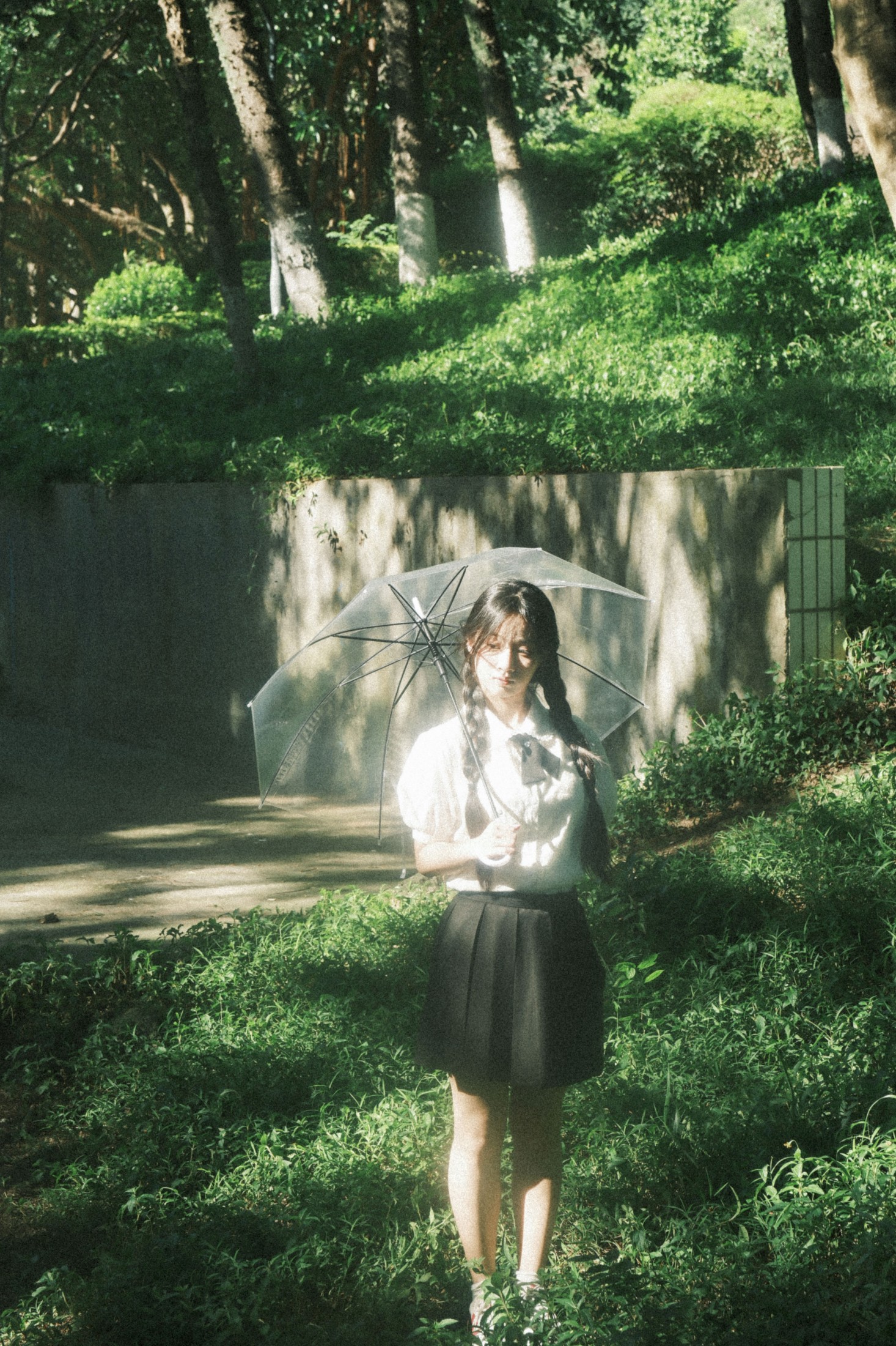 – 《人们为何总是为绿色着迷》[9P]