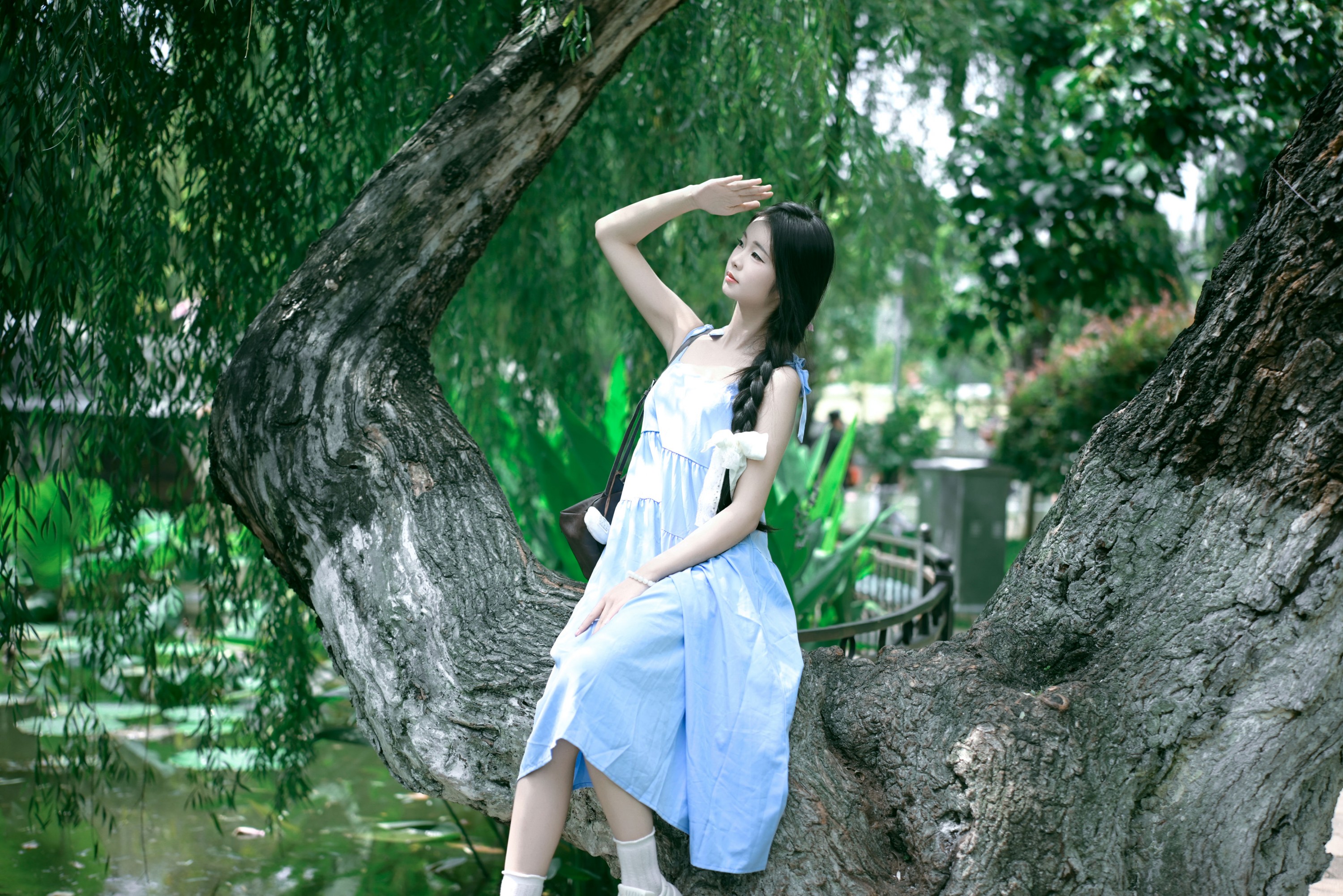 艾青 – 《清雅悠然》[19P]