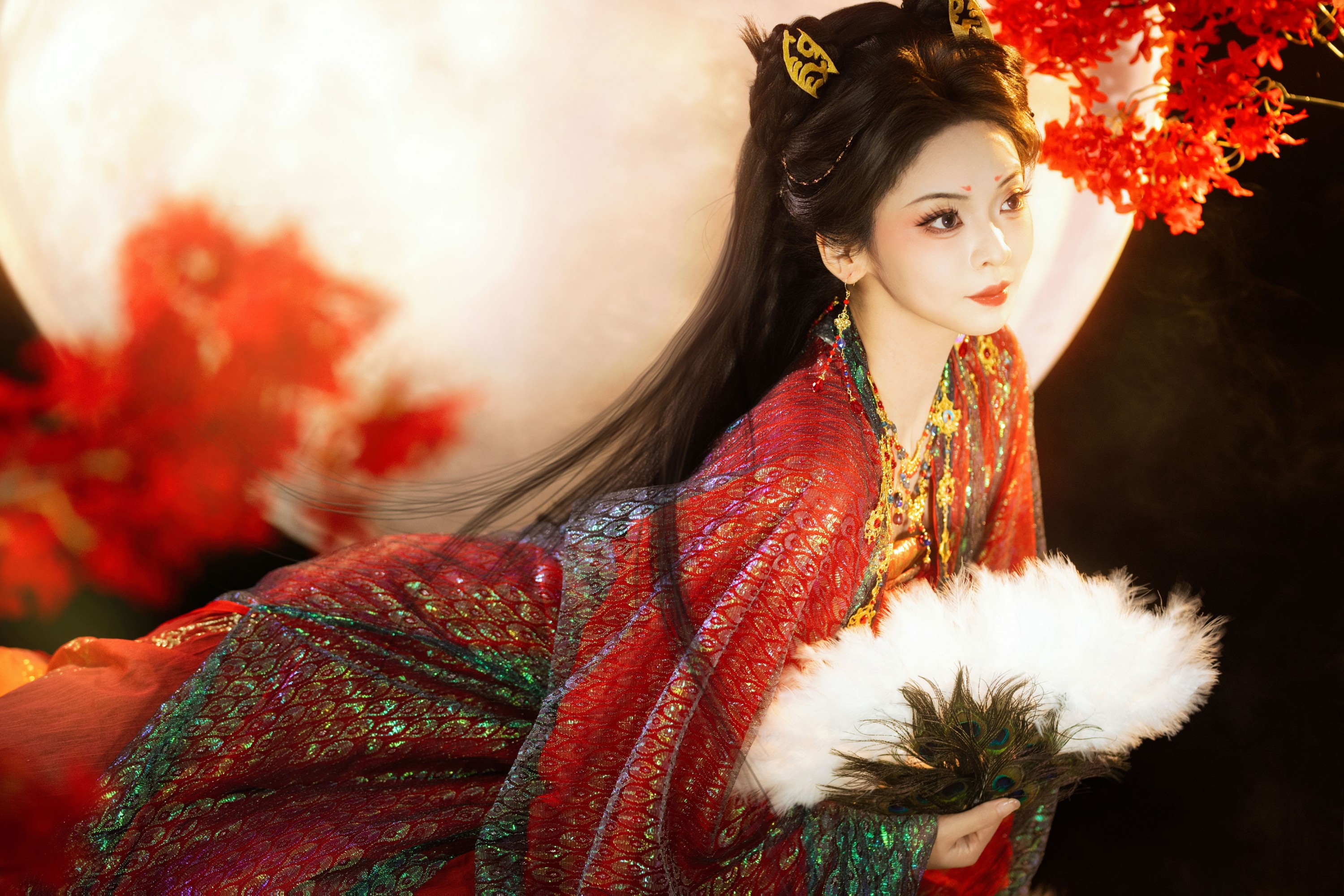 子夜归猫公