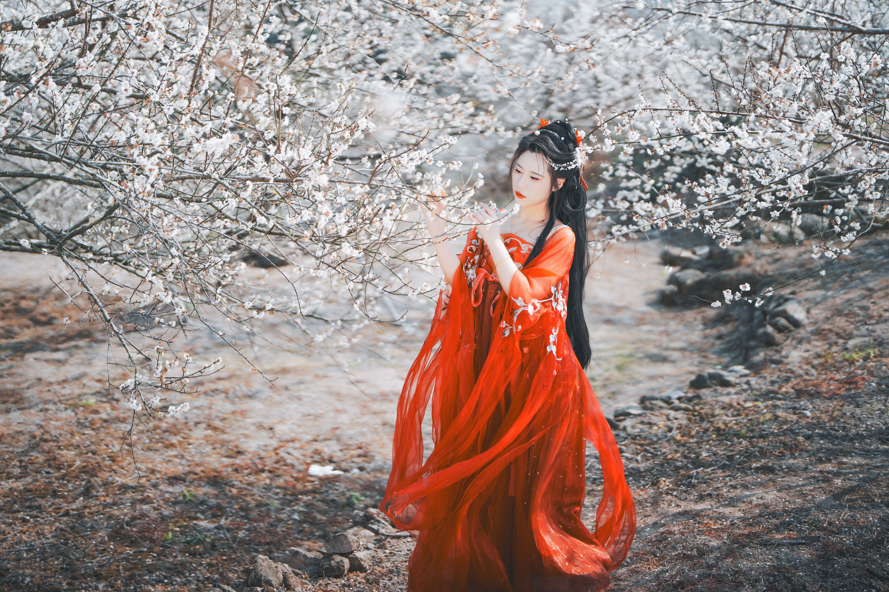 浅月没有月 – 《梅花古风人像拍摄》[18P]