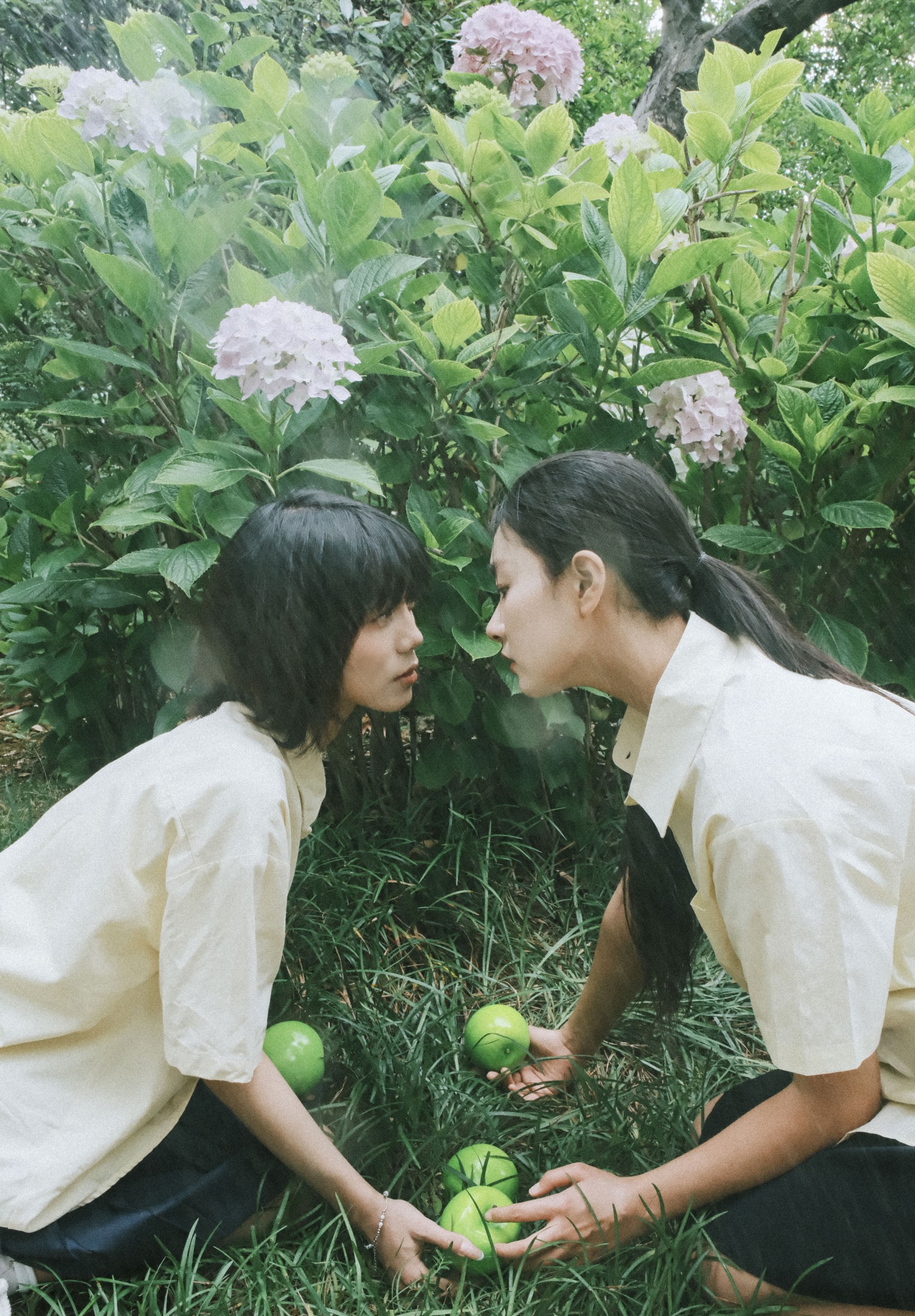 双生花