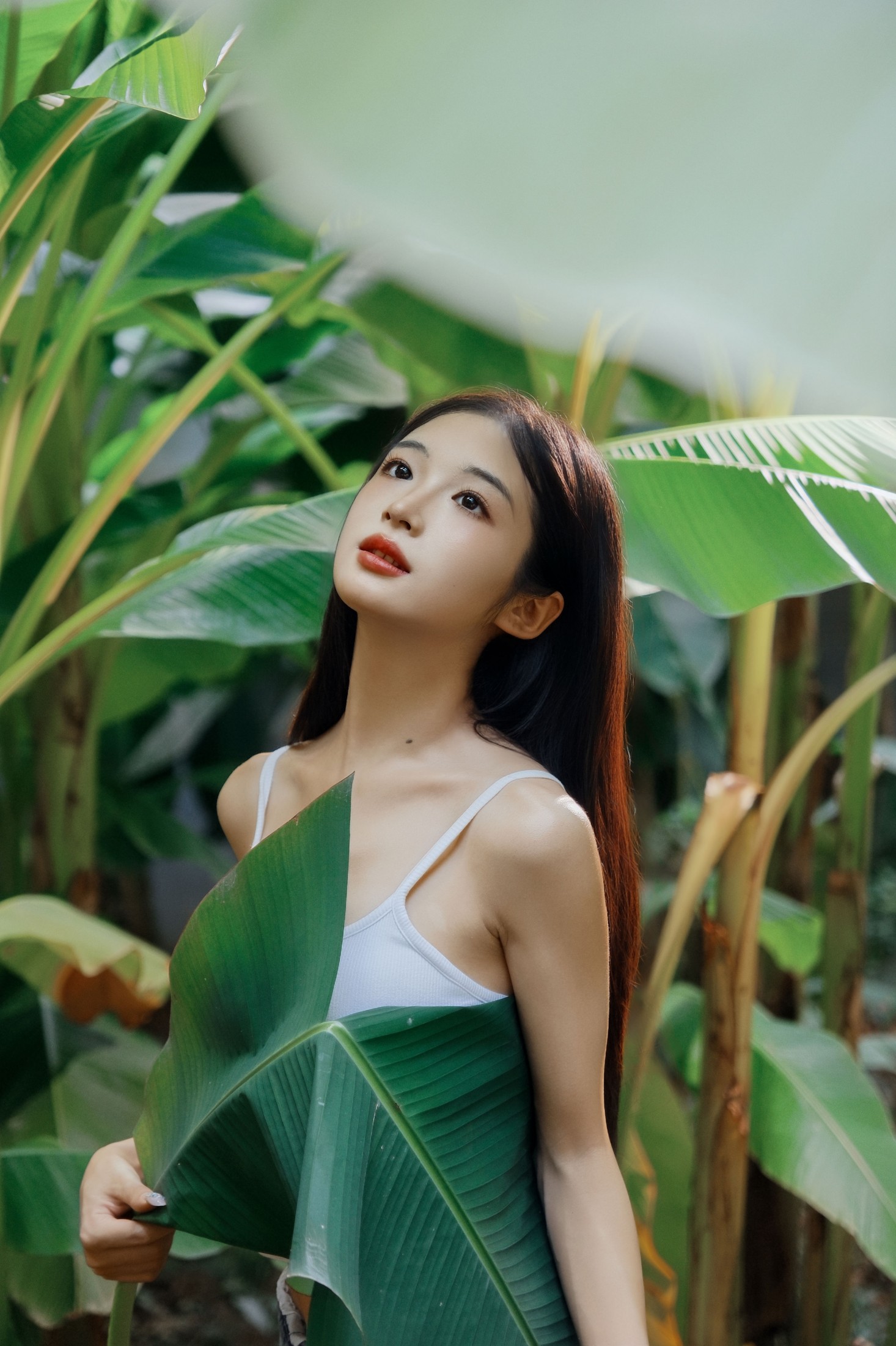芭蕉叶下的邂逅