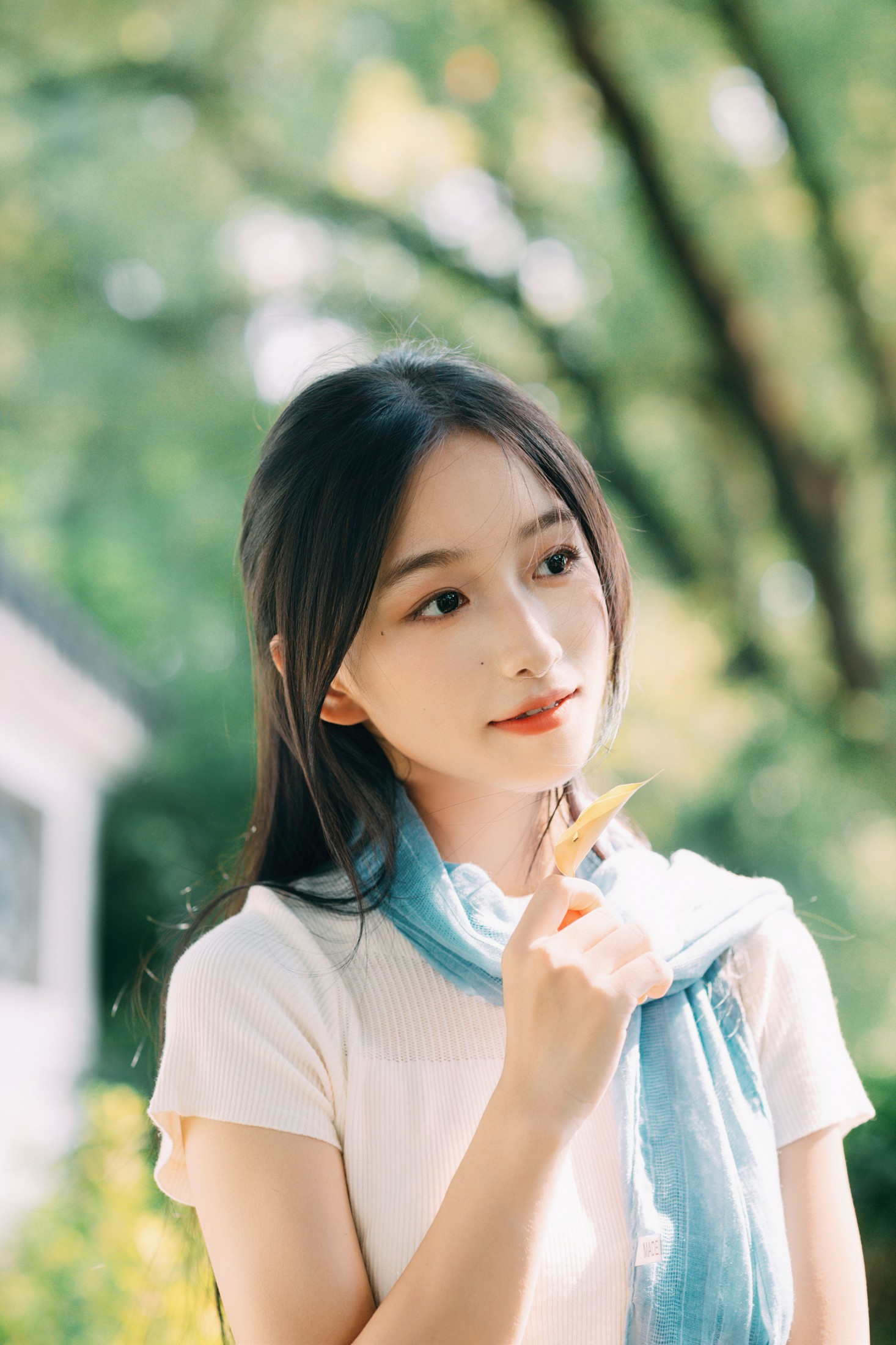 林淼鑫 – 《秋日风吟》[38P]