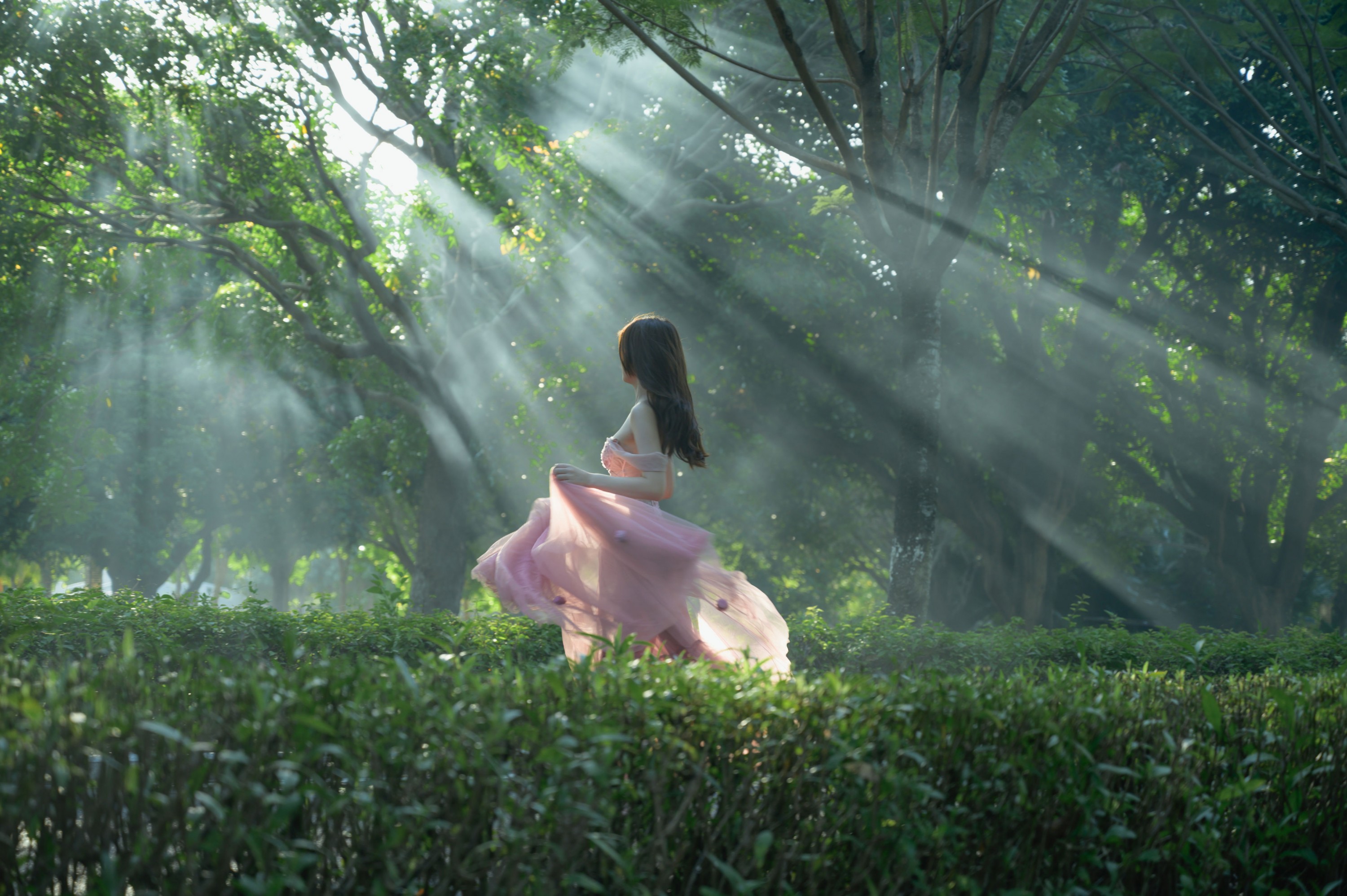 – 《美丽的光》[15P]