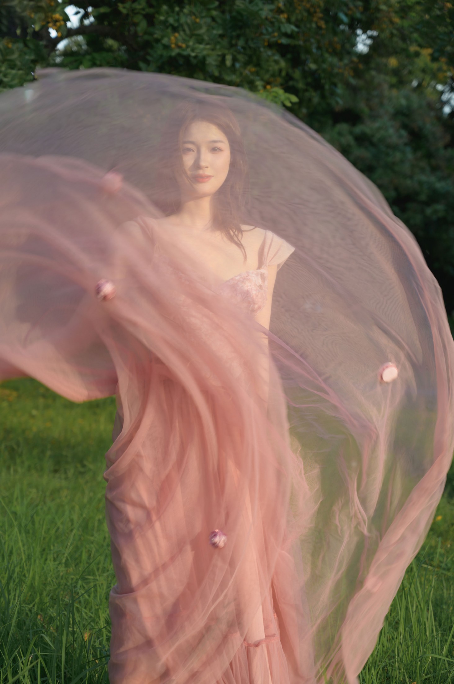 – 《美丽的光》[15P]