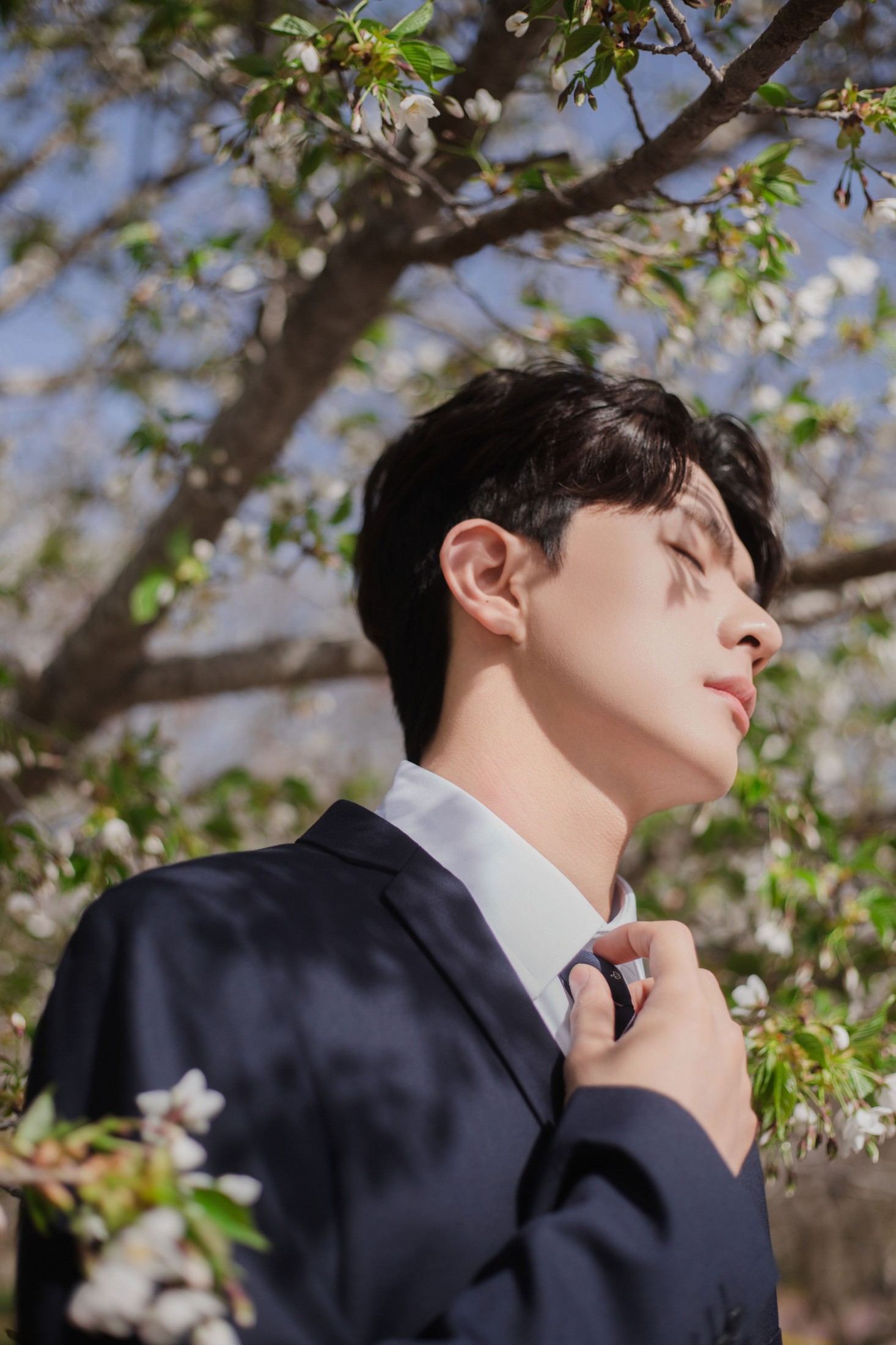 言弟弟 – 《树下樱花男孩》[28P]